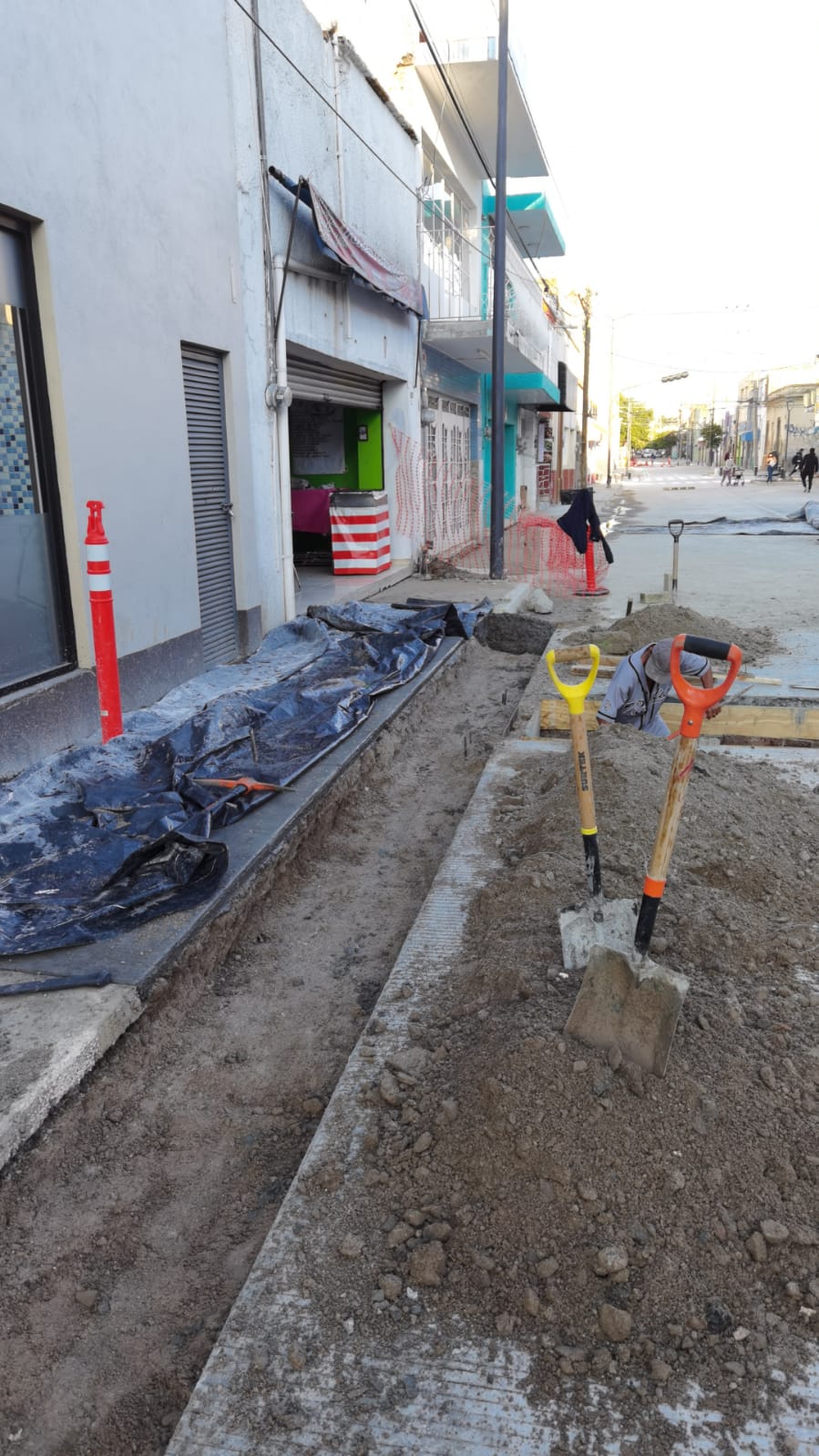Imagen del proyecto