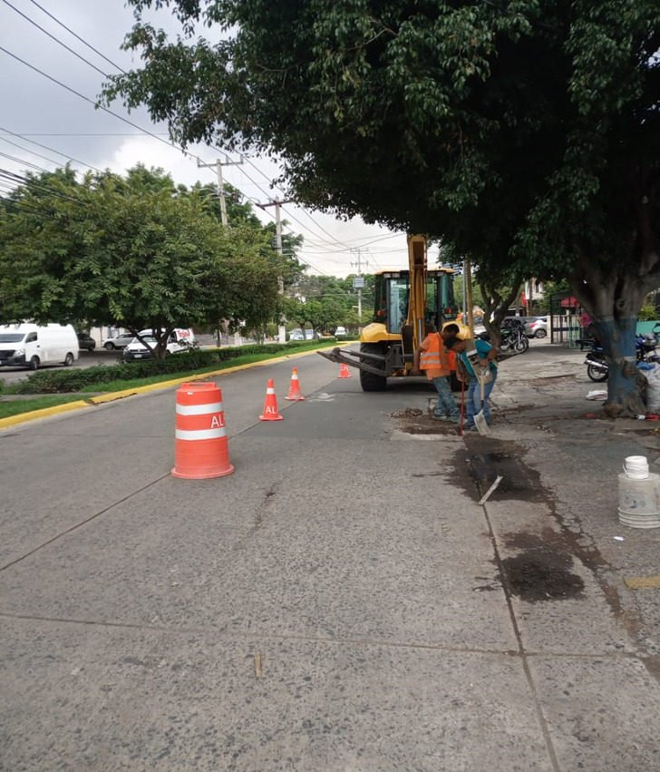Imagen del proyecto