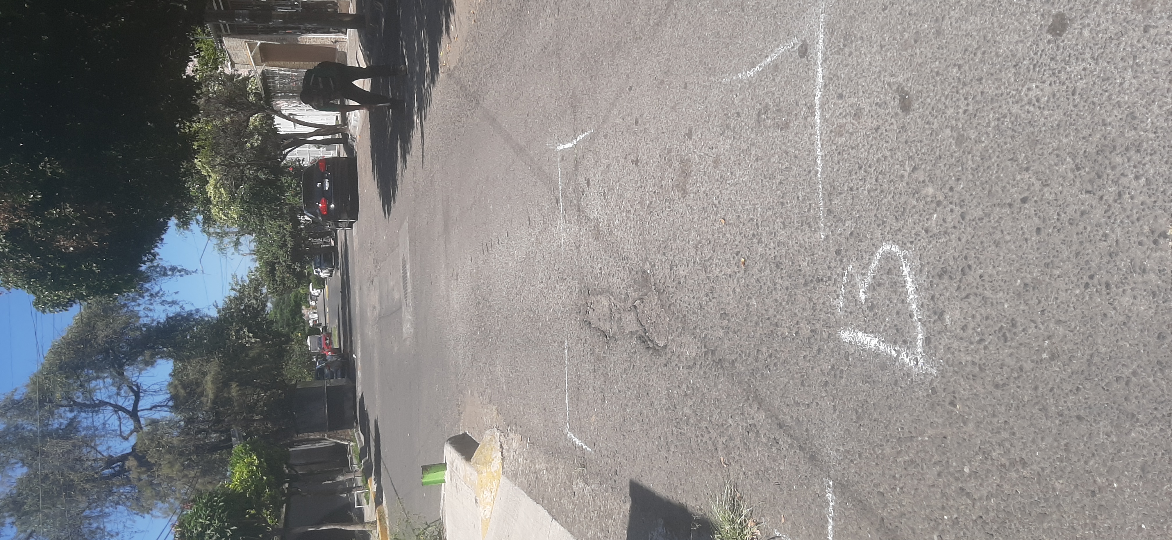 Imagen del proyecto