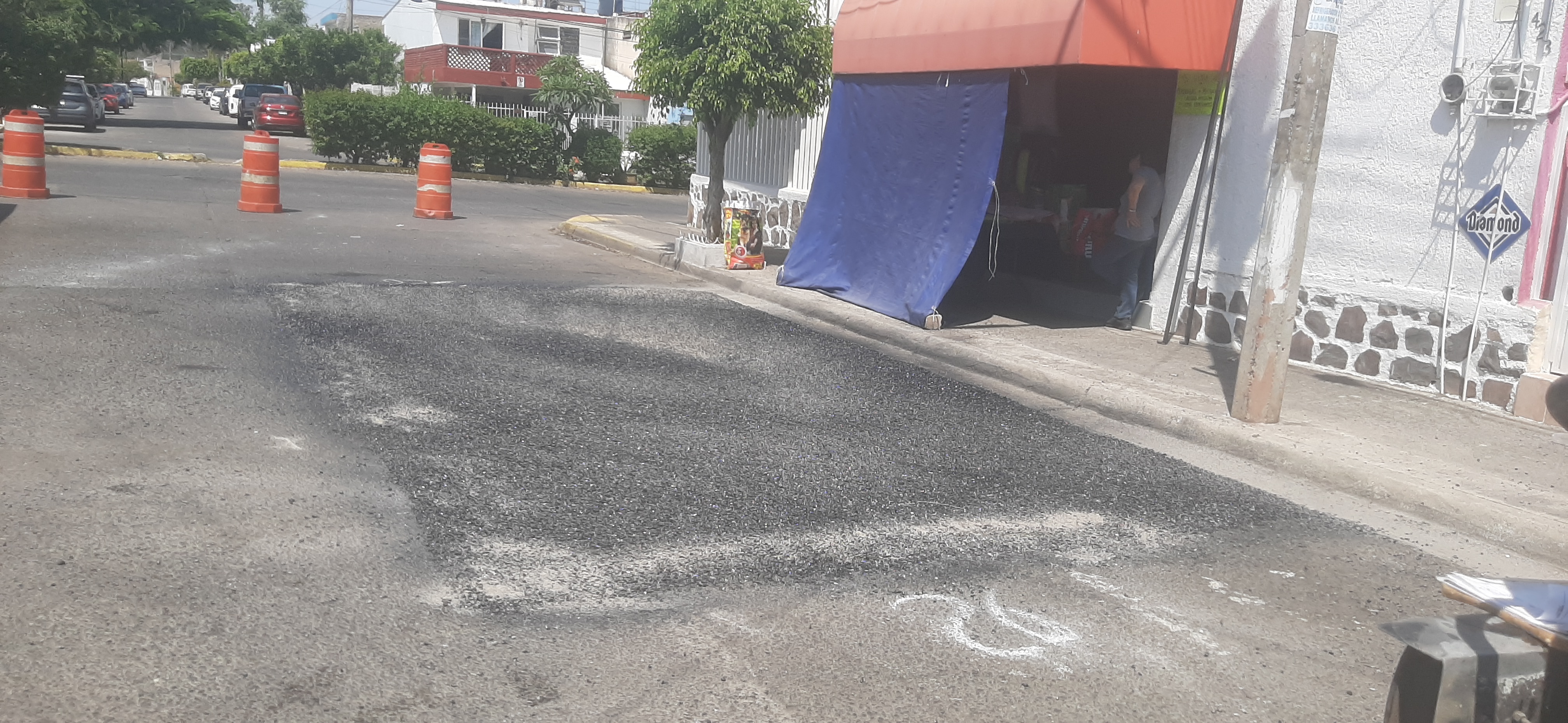 Imagen del proyecto