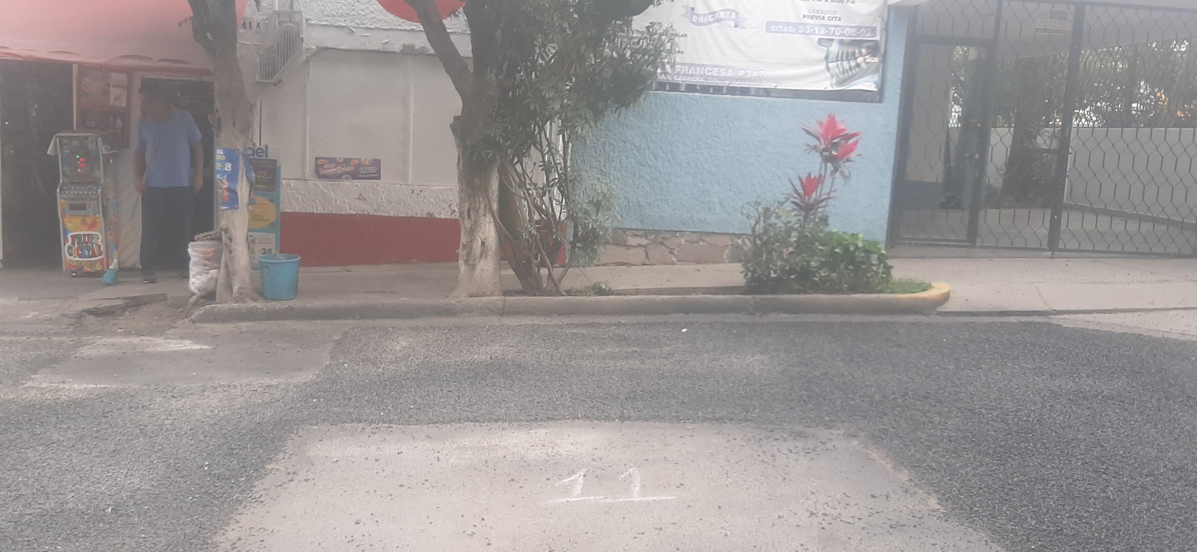 Imagen del proyecto