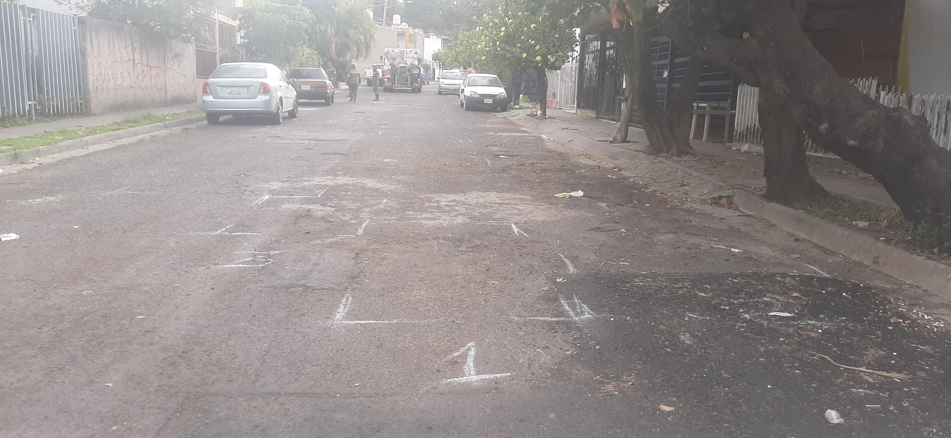 Imagen del proyecto