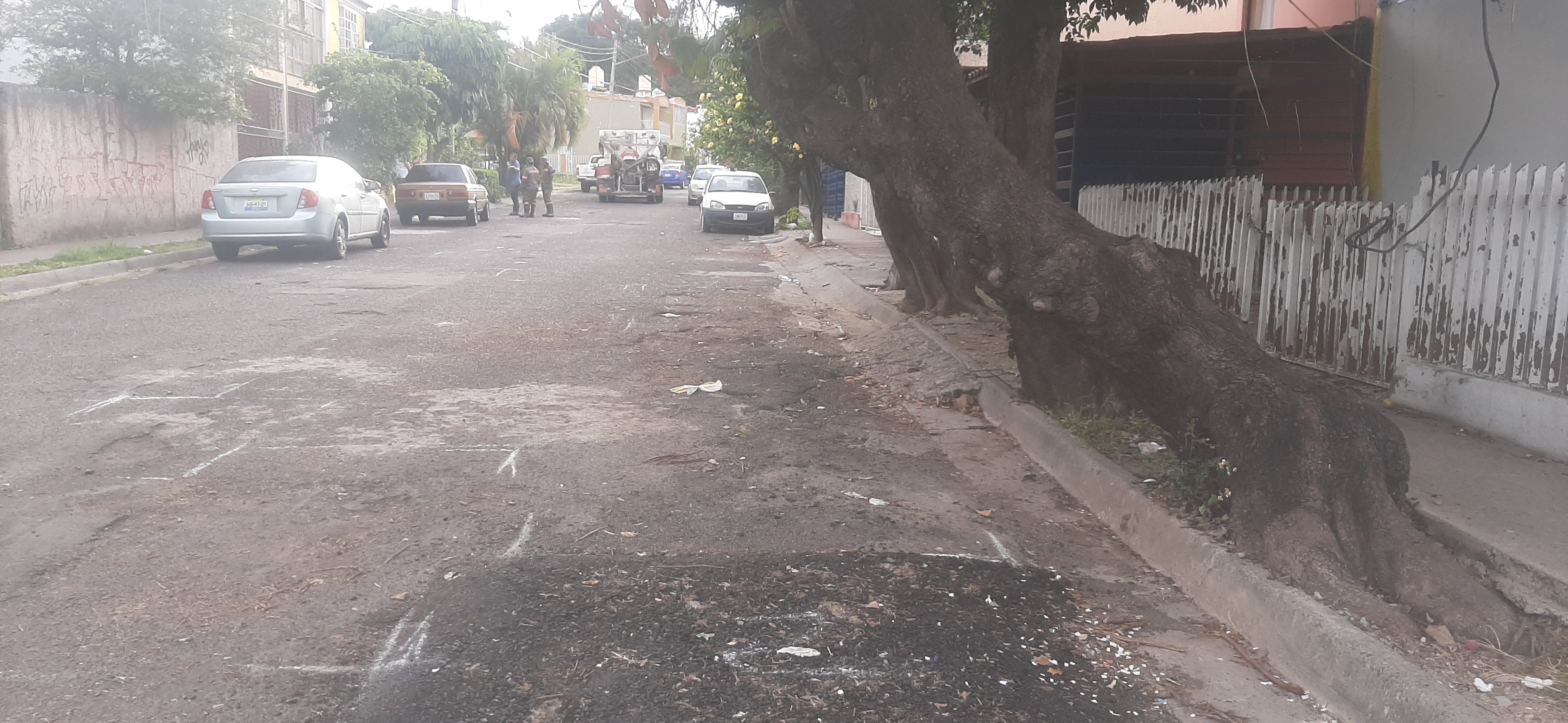 Imagen del proyecto