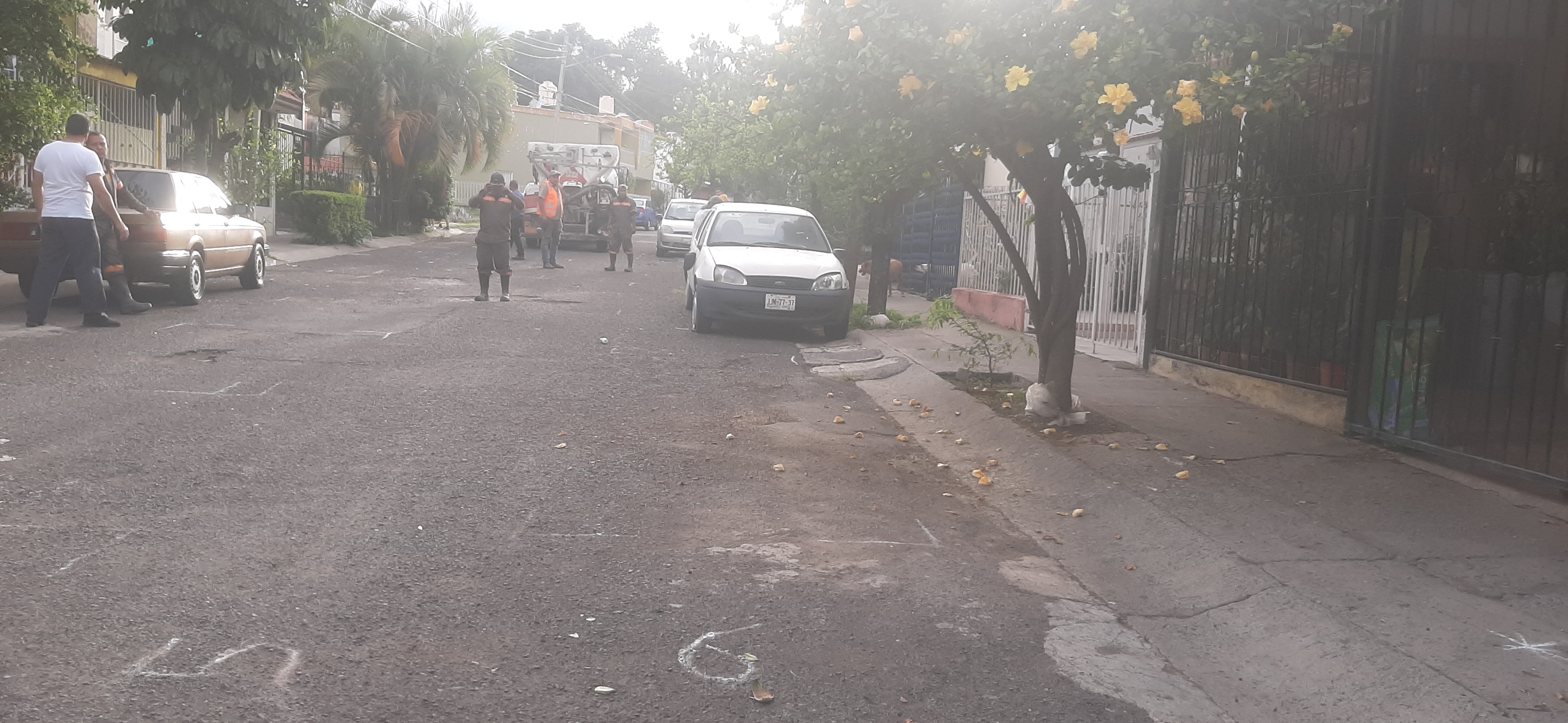 Imagen del proyecto