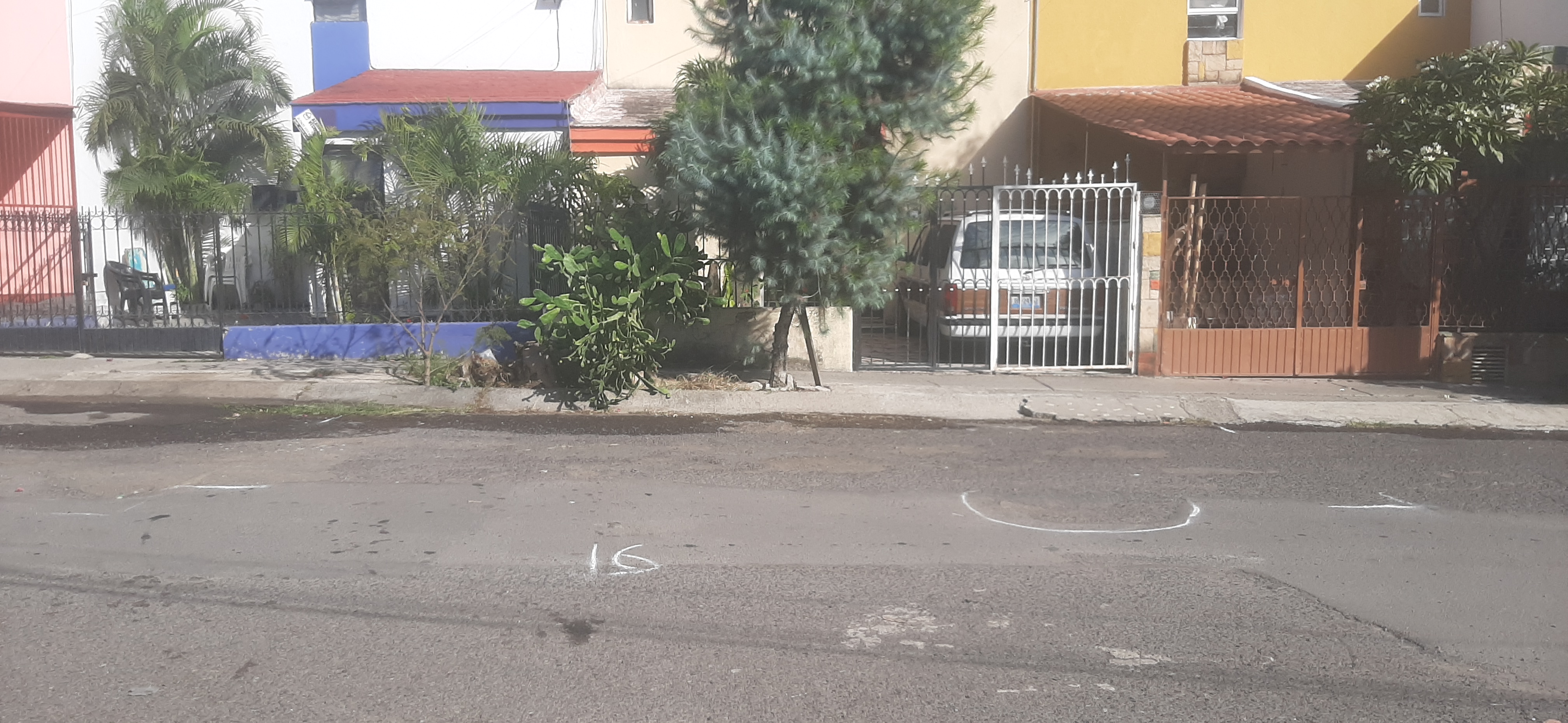 Imagen del proyecto