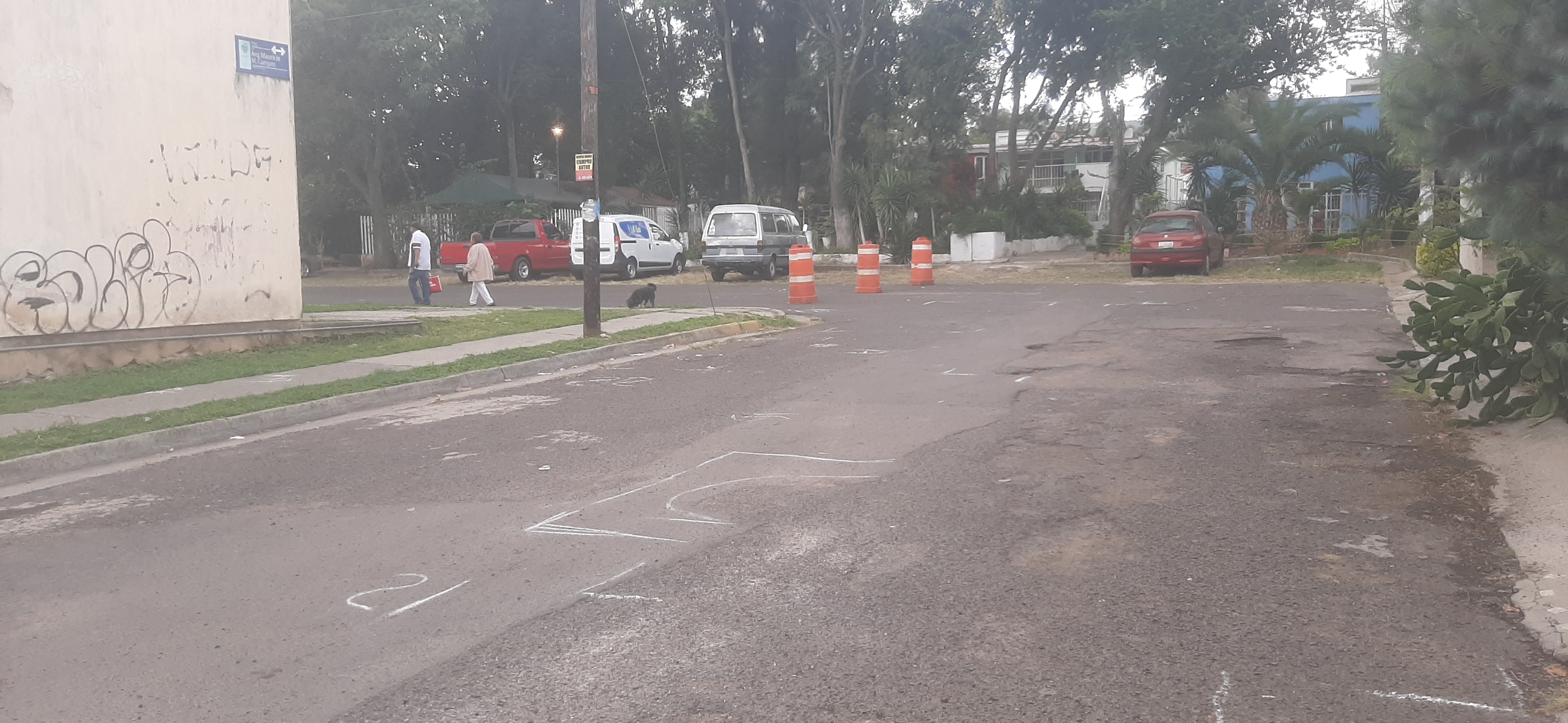 Imagen del proyecto