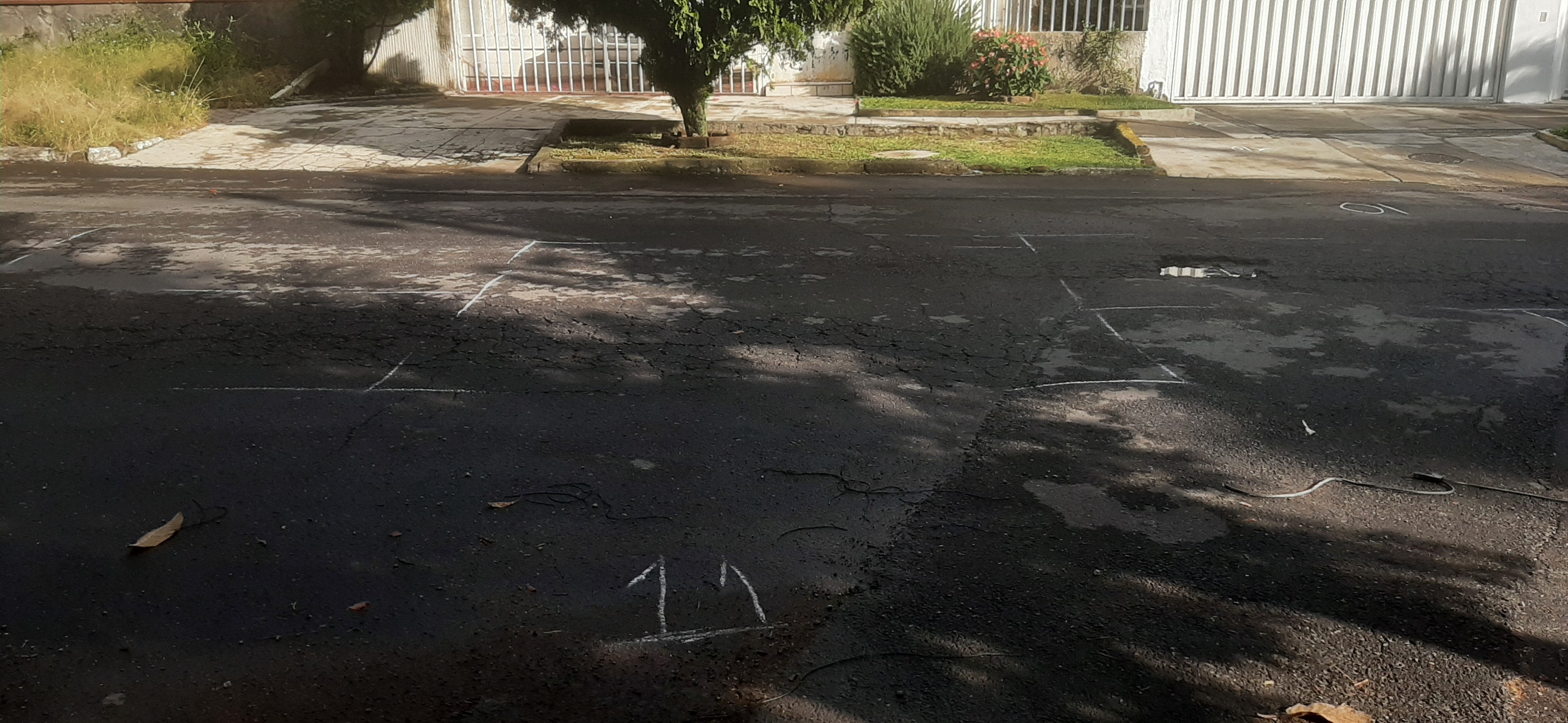 Imagen del proyecto