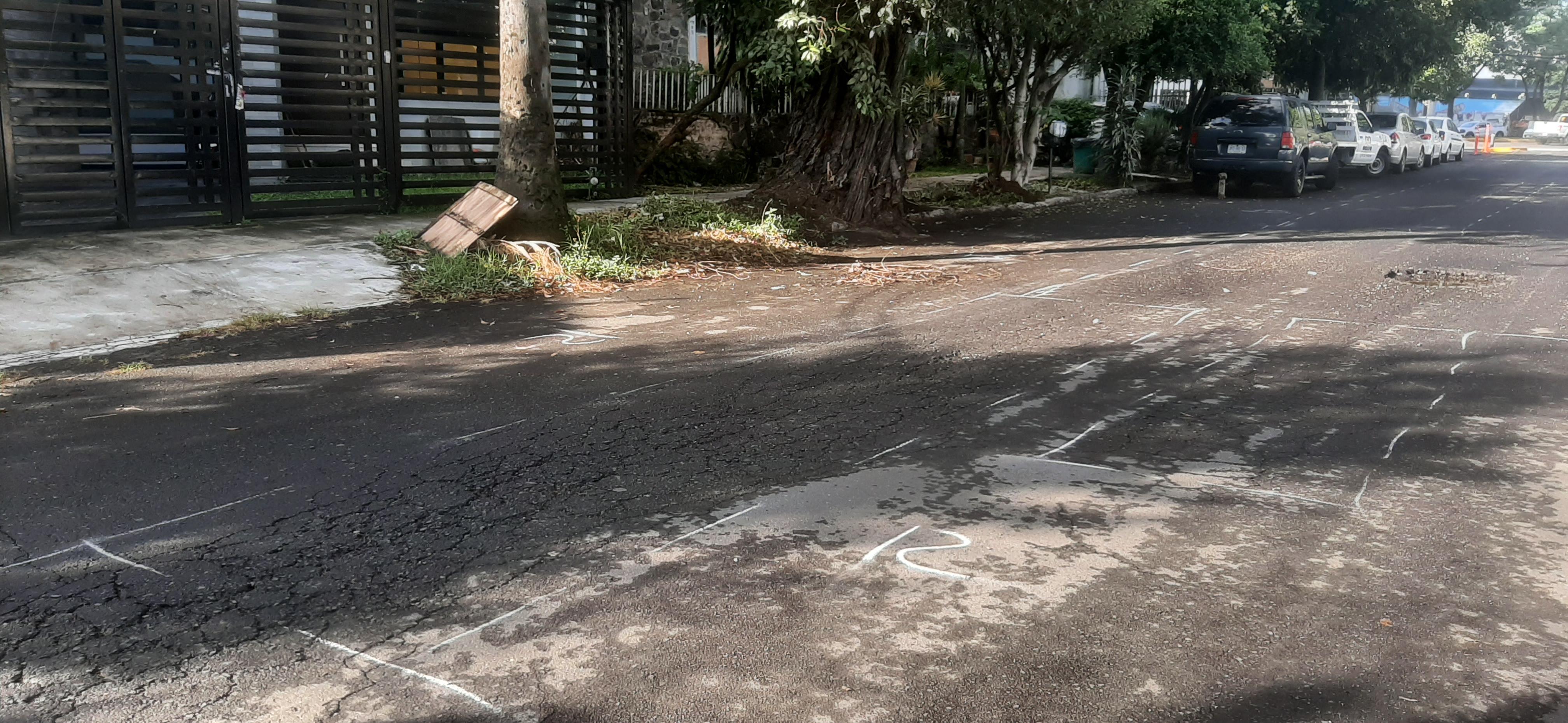 Imagen del proyecto