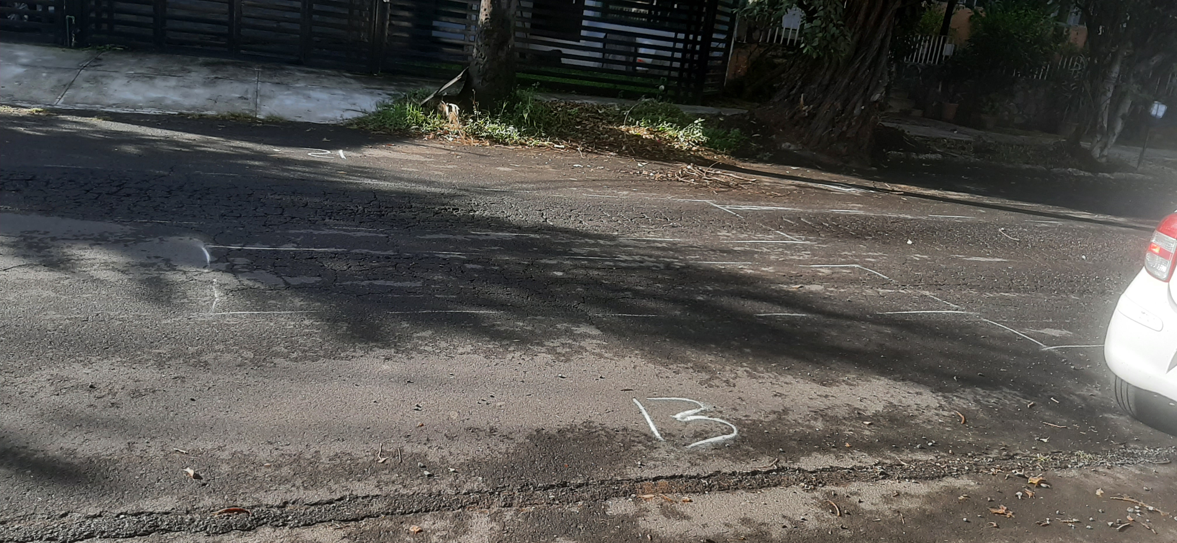 Imagen del proyecto