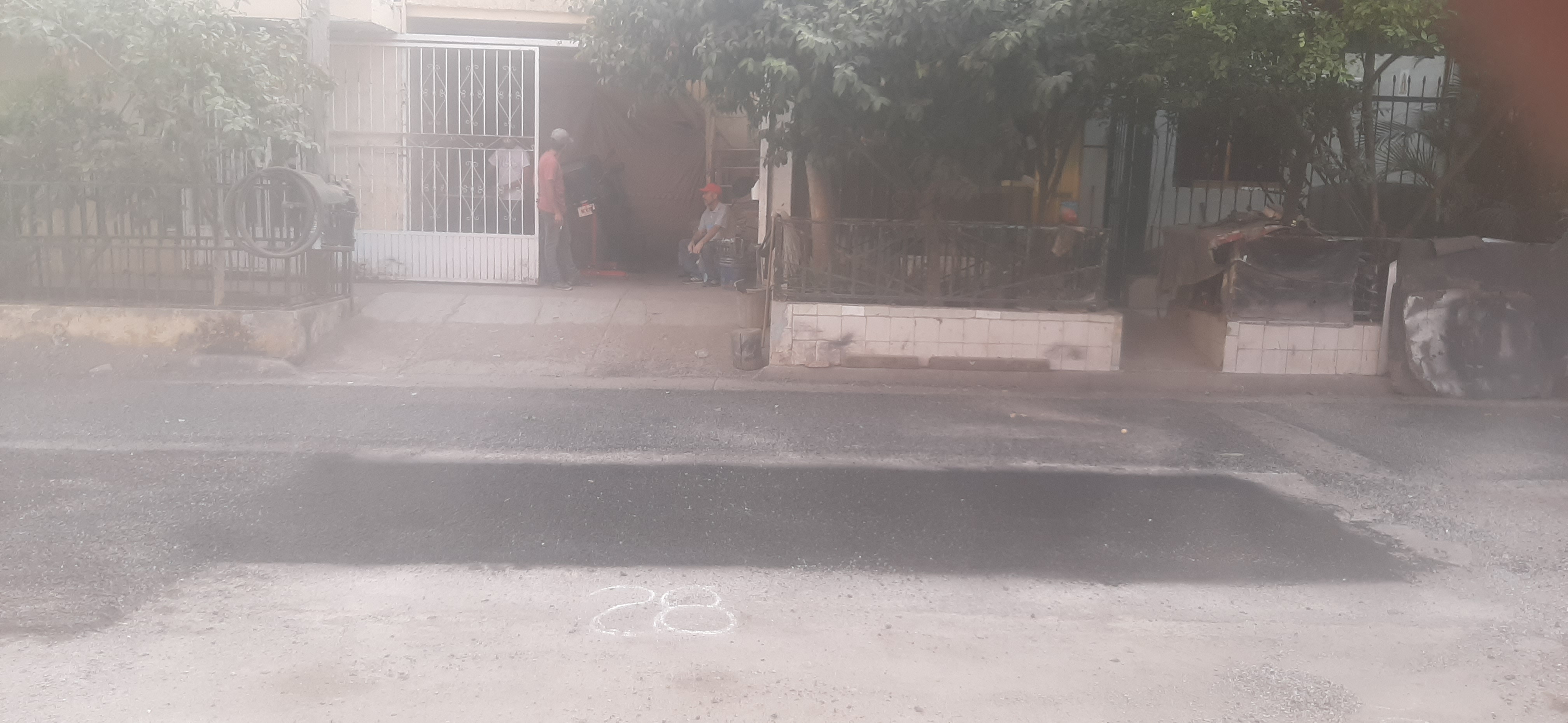 Imagen del proyecto
