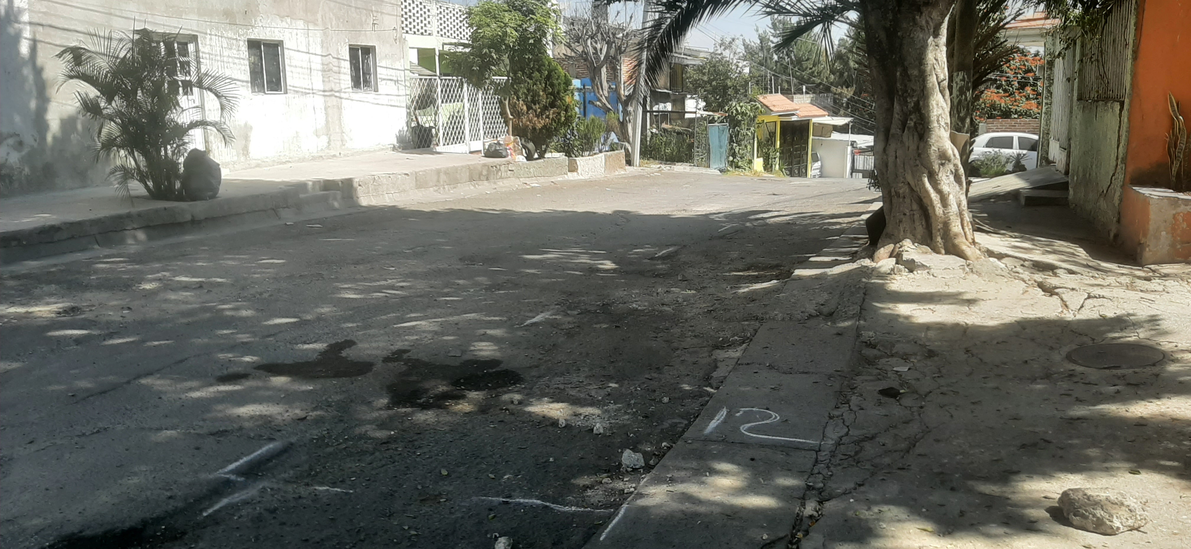 Imagen del proyecto