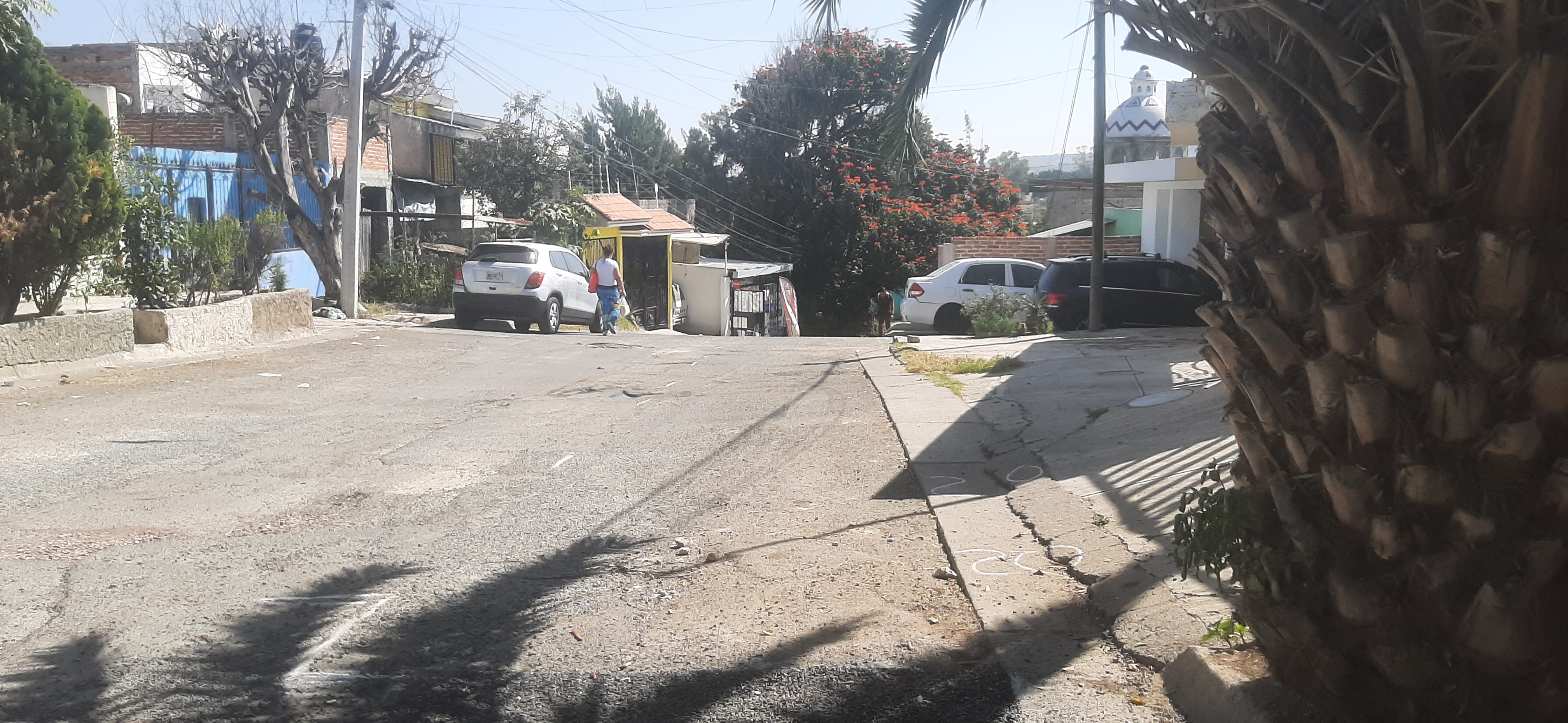 Imagen del proyecto