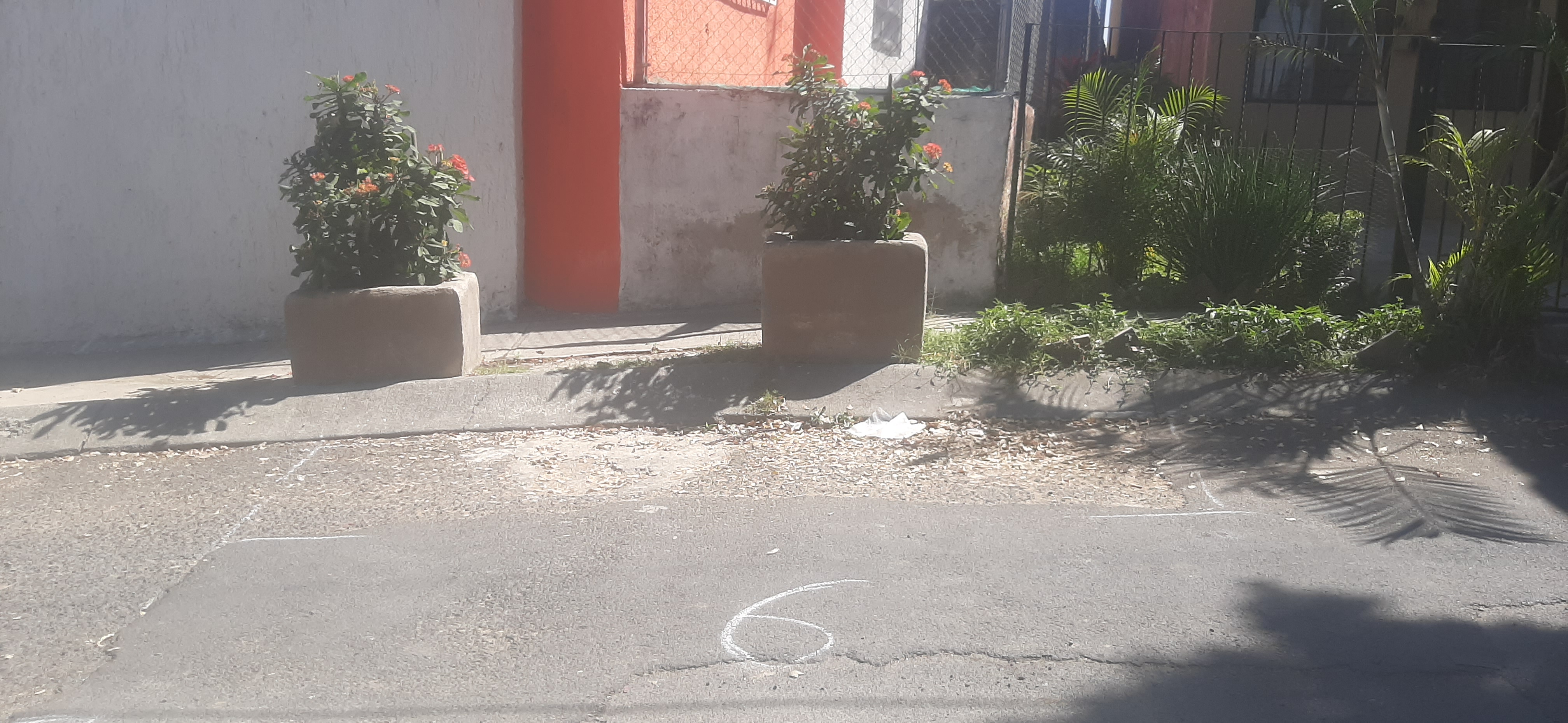 Imagen del proyecto