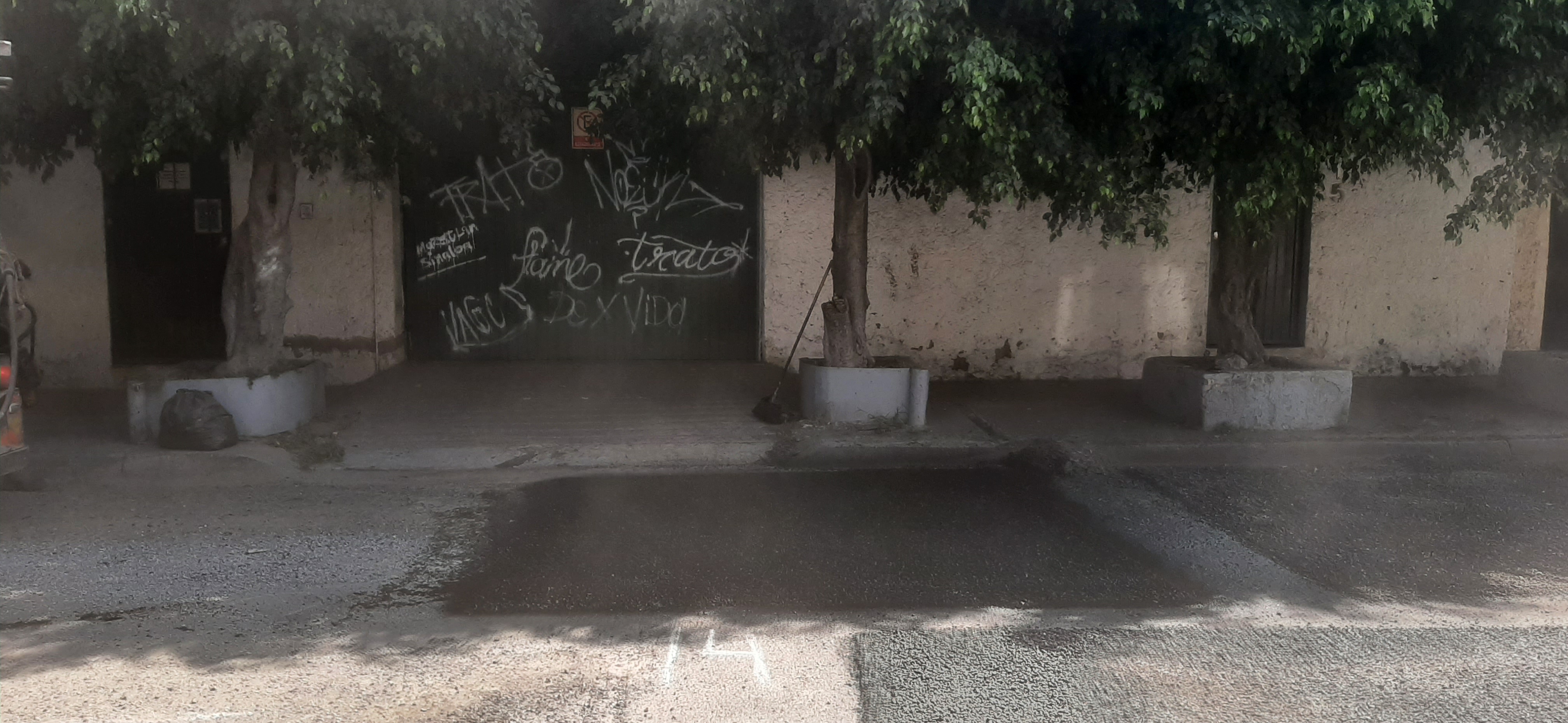Imagen del proyecto
