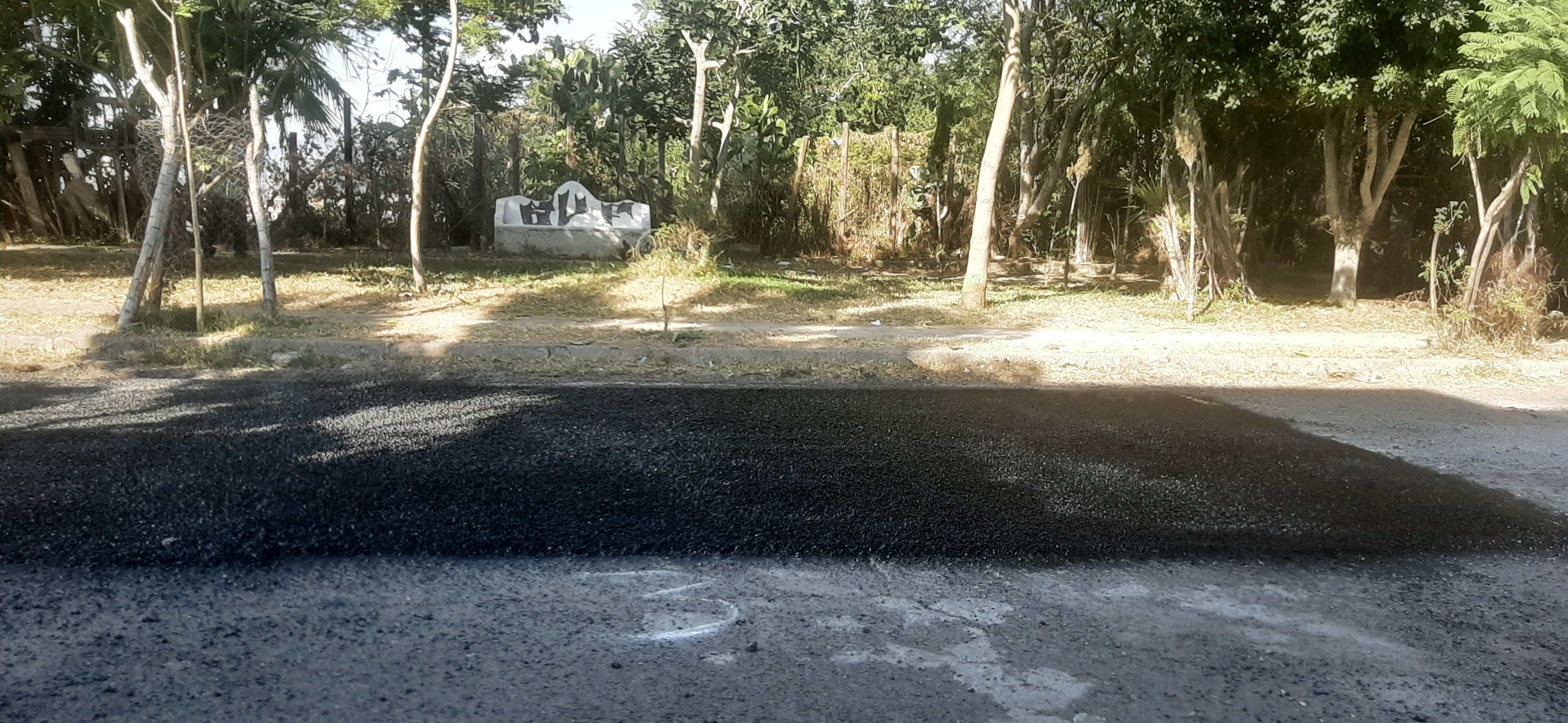 Imagen del proyecto