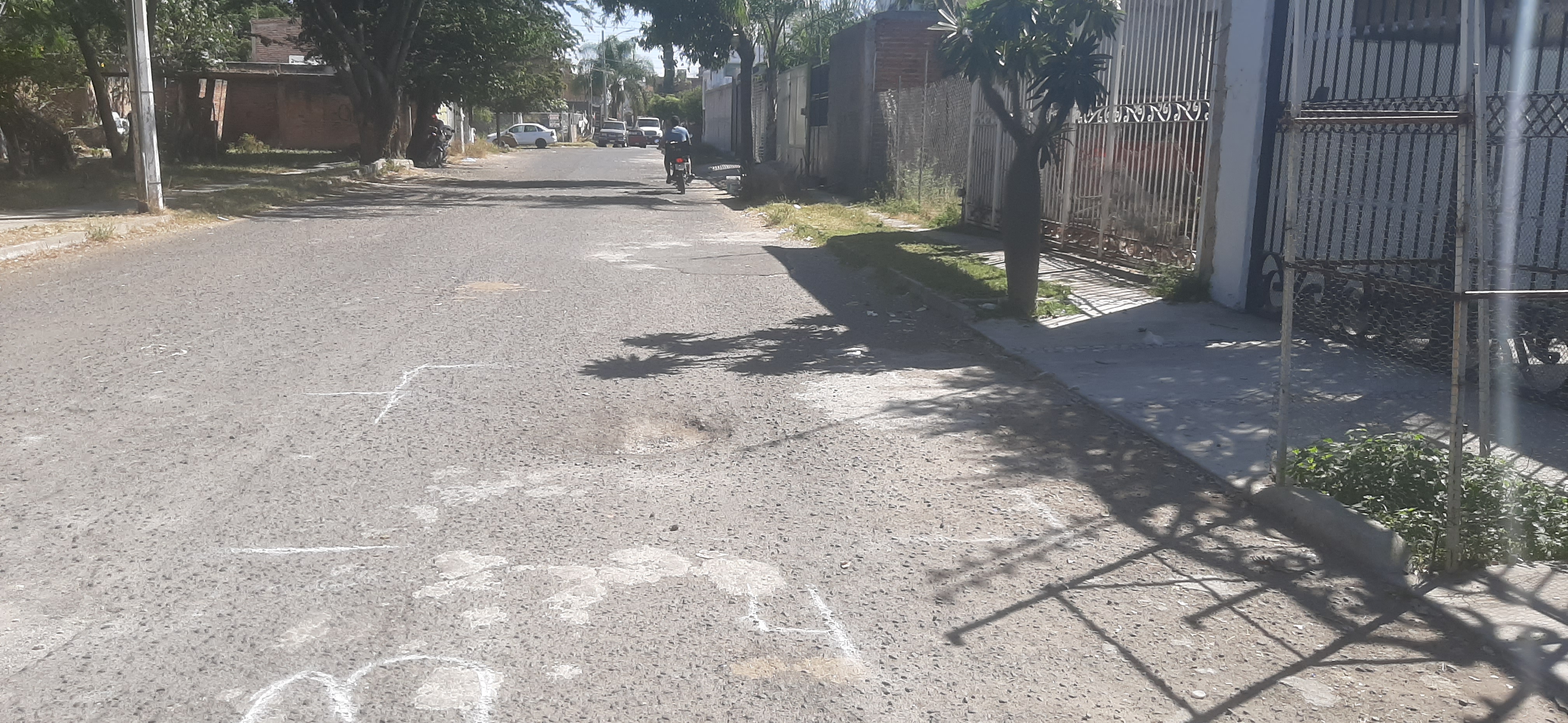 Imagen del proyecto