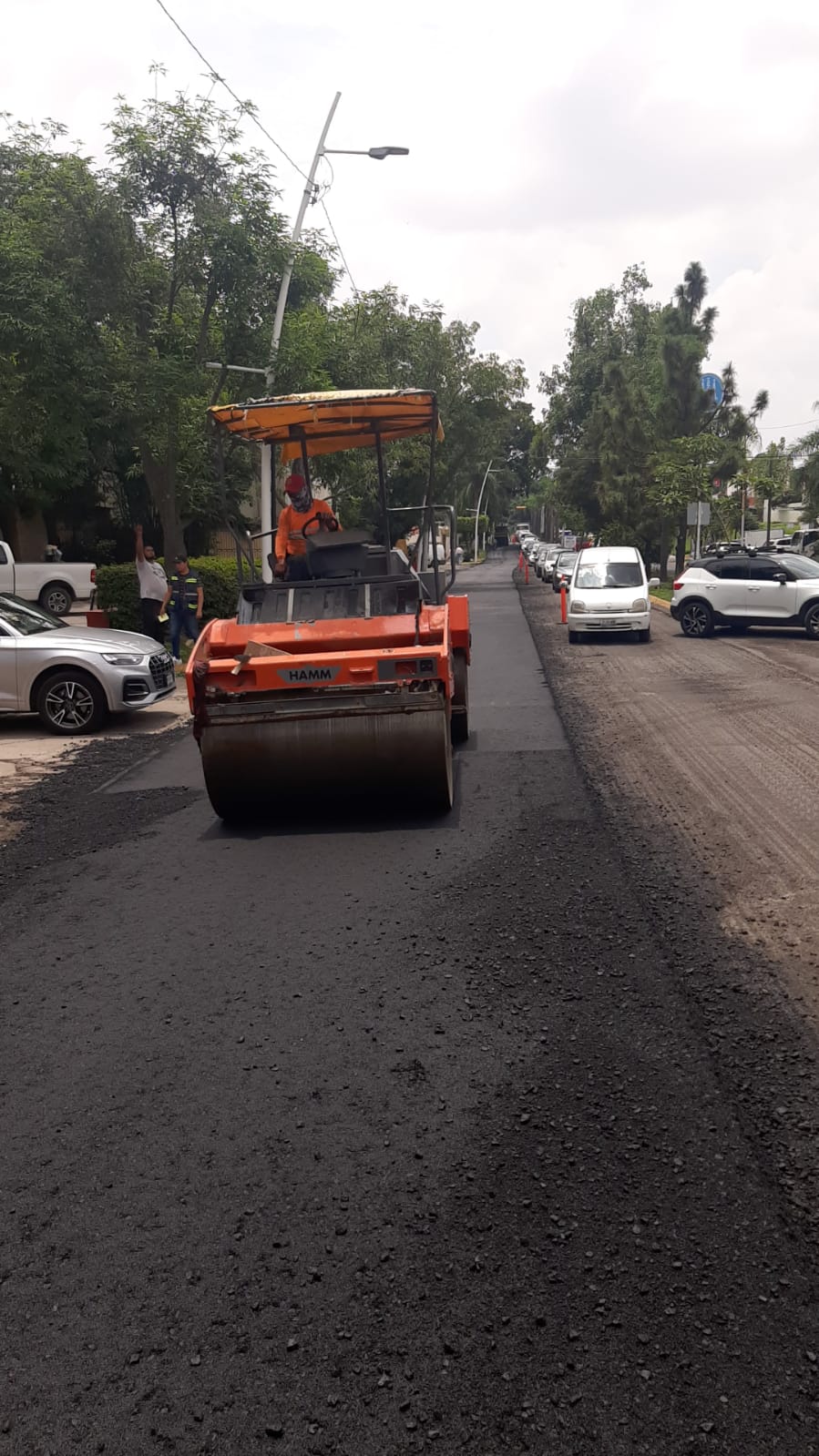 Imagen del proyecto