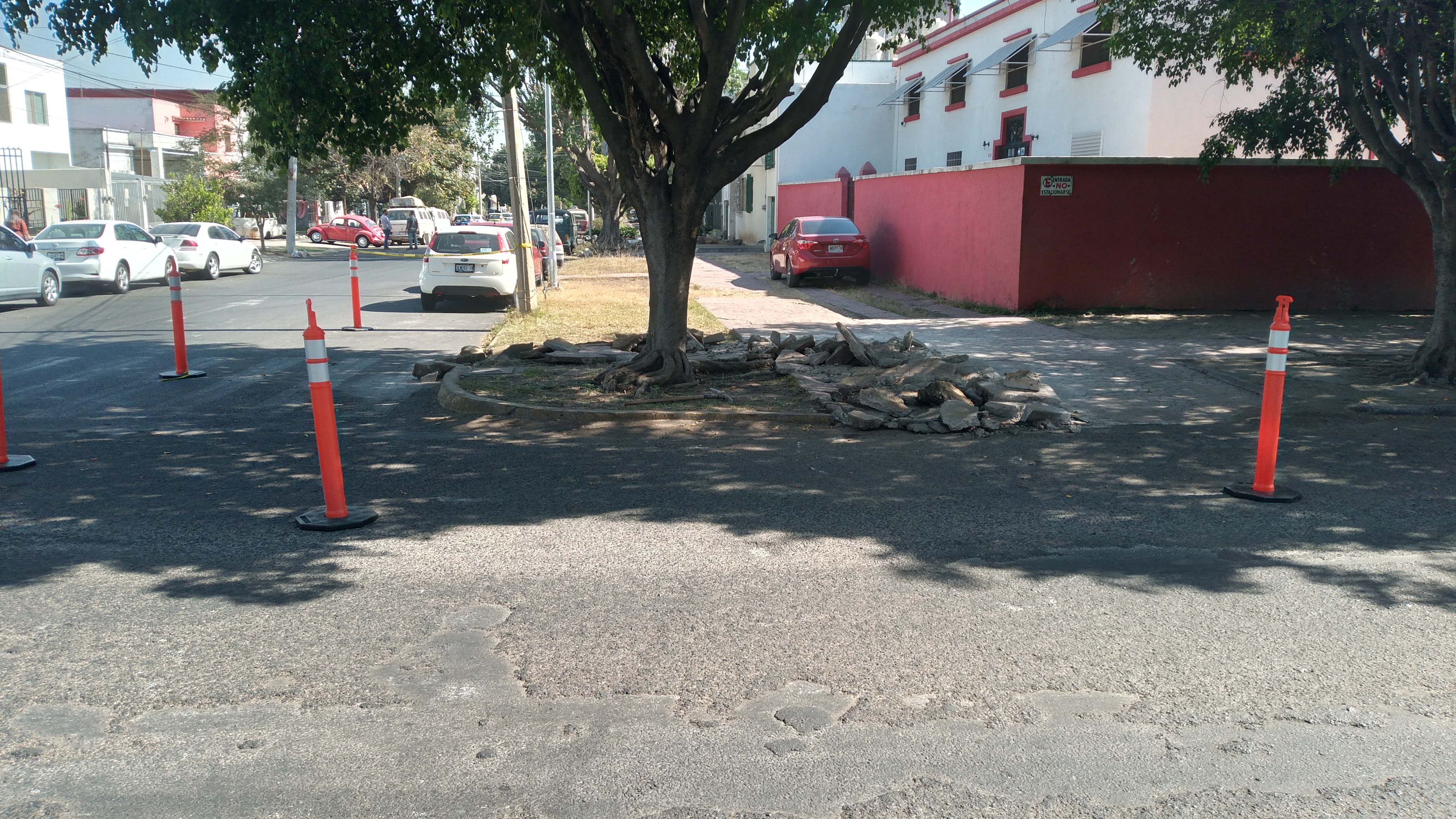 Imagen del proyecto