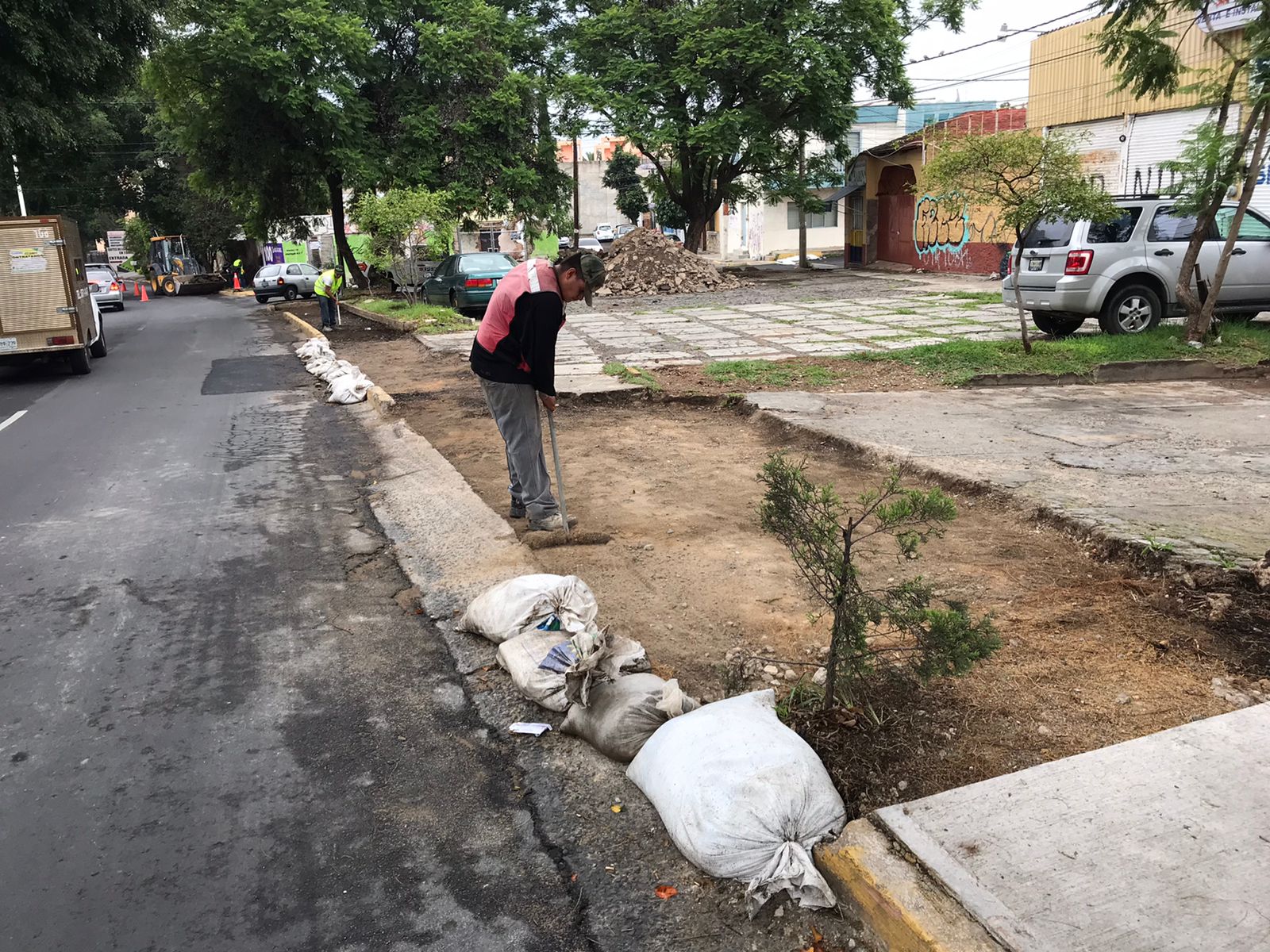 Imagen del proyecto