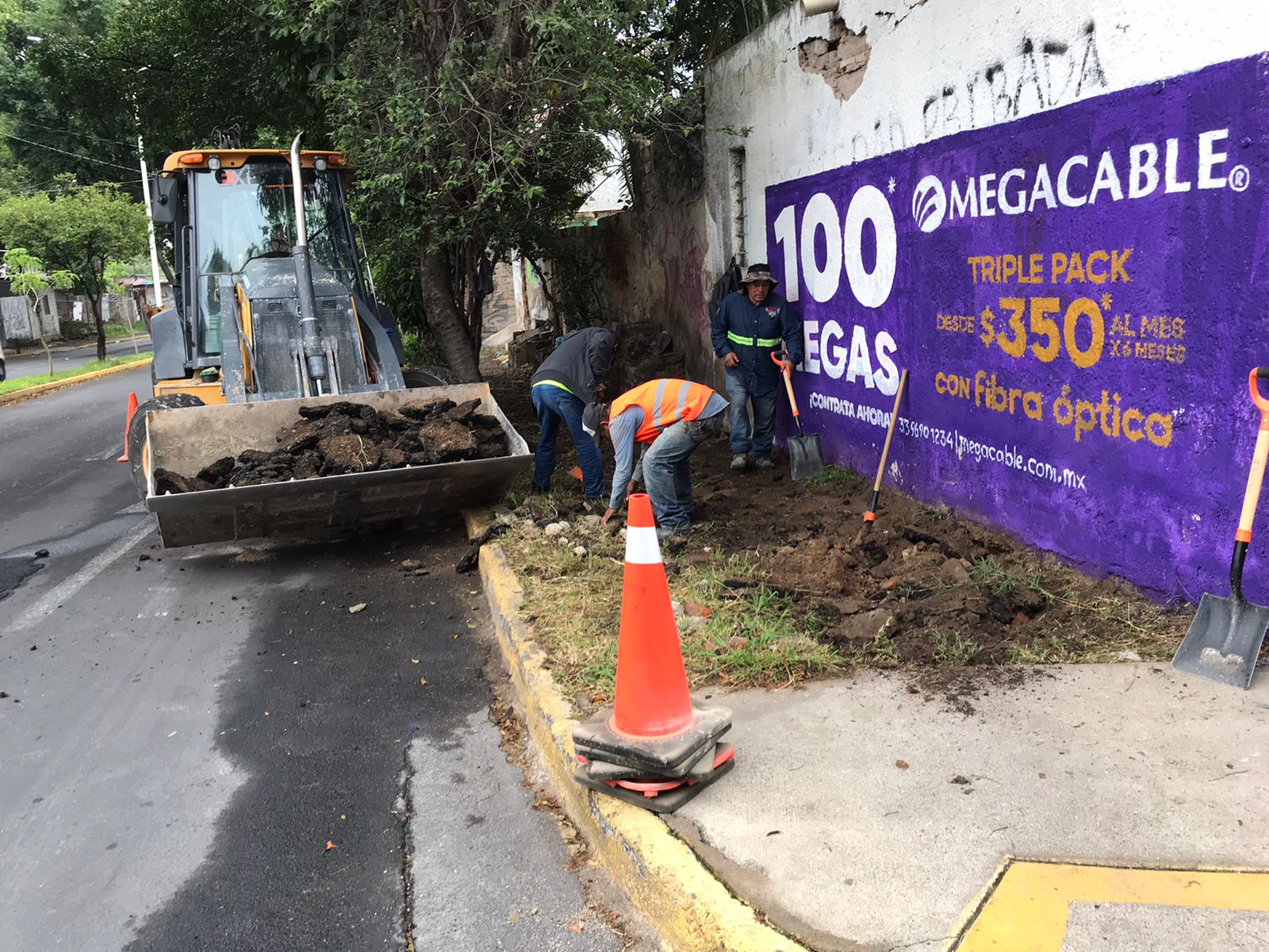 Imagen del proyecto