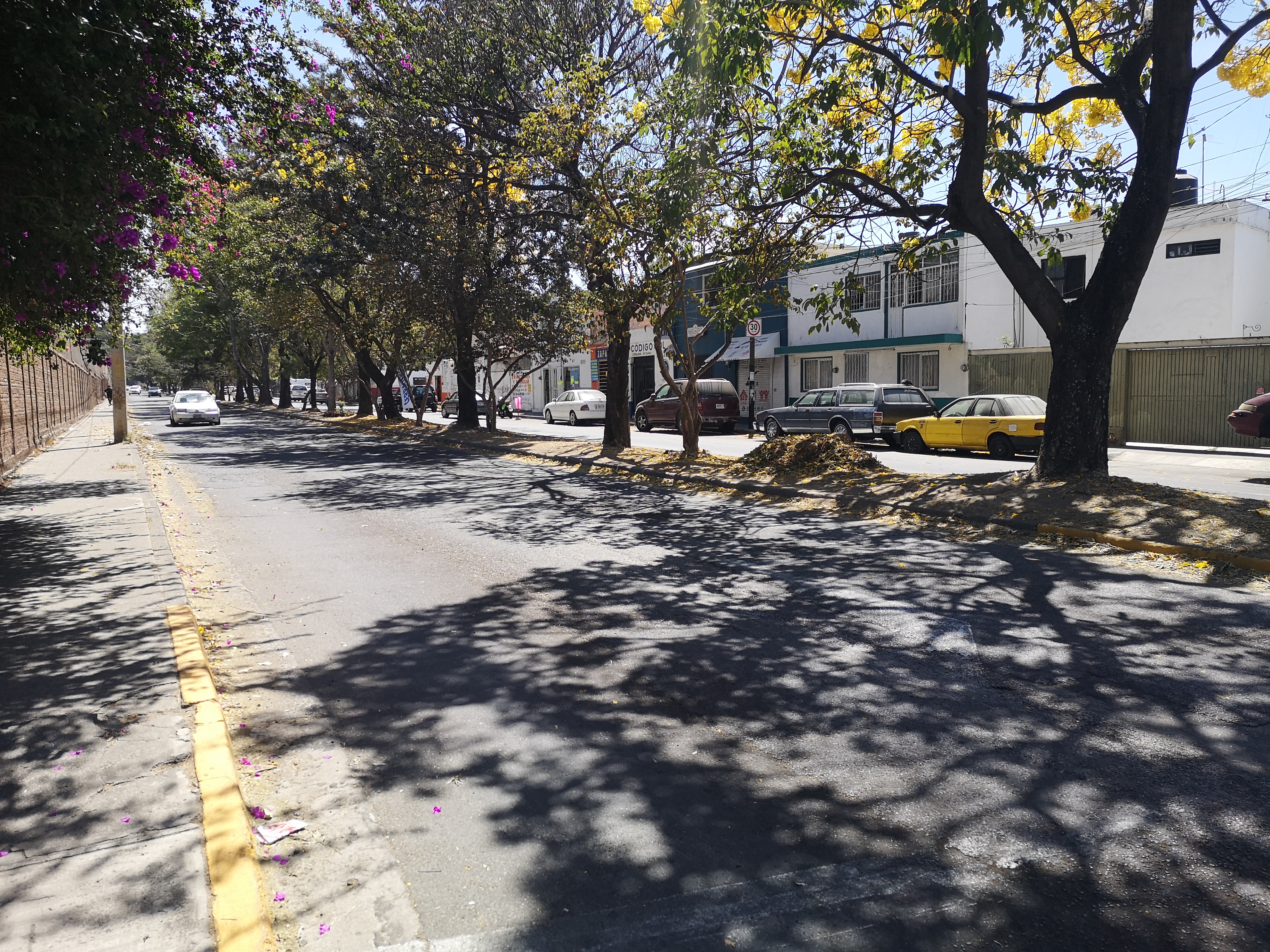 Imagen del proyecto