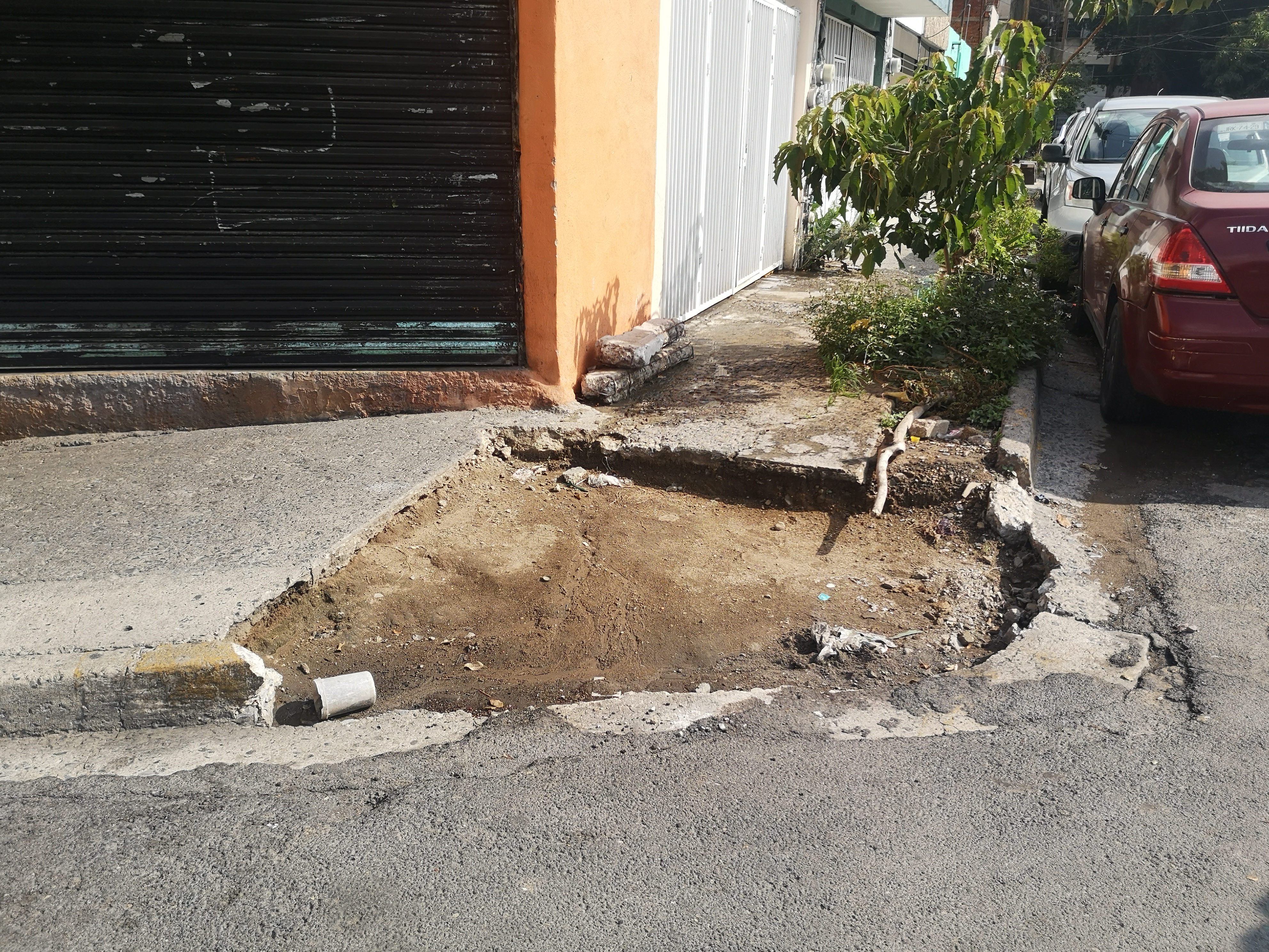 Imagen del Proyecto