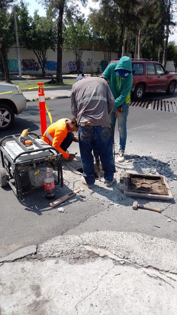 Imagen del Proyecto