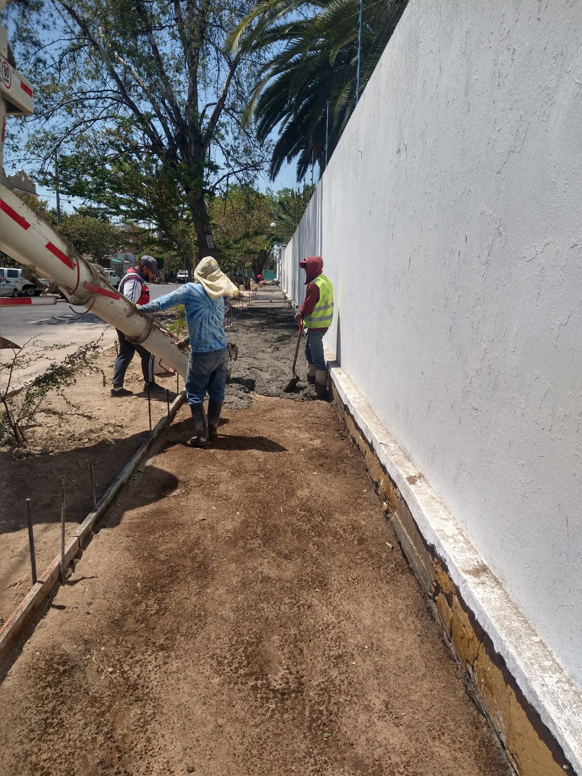Imagen del proyecto