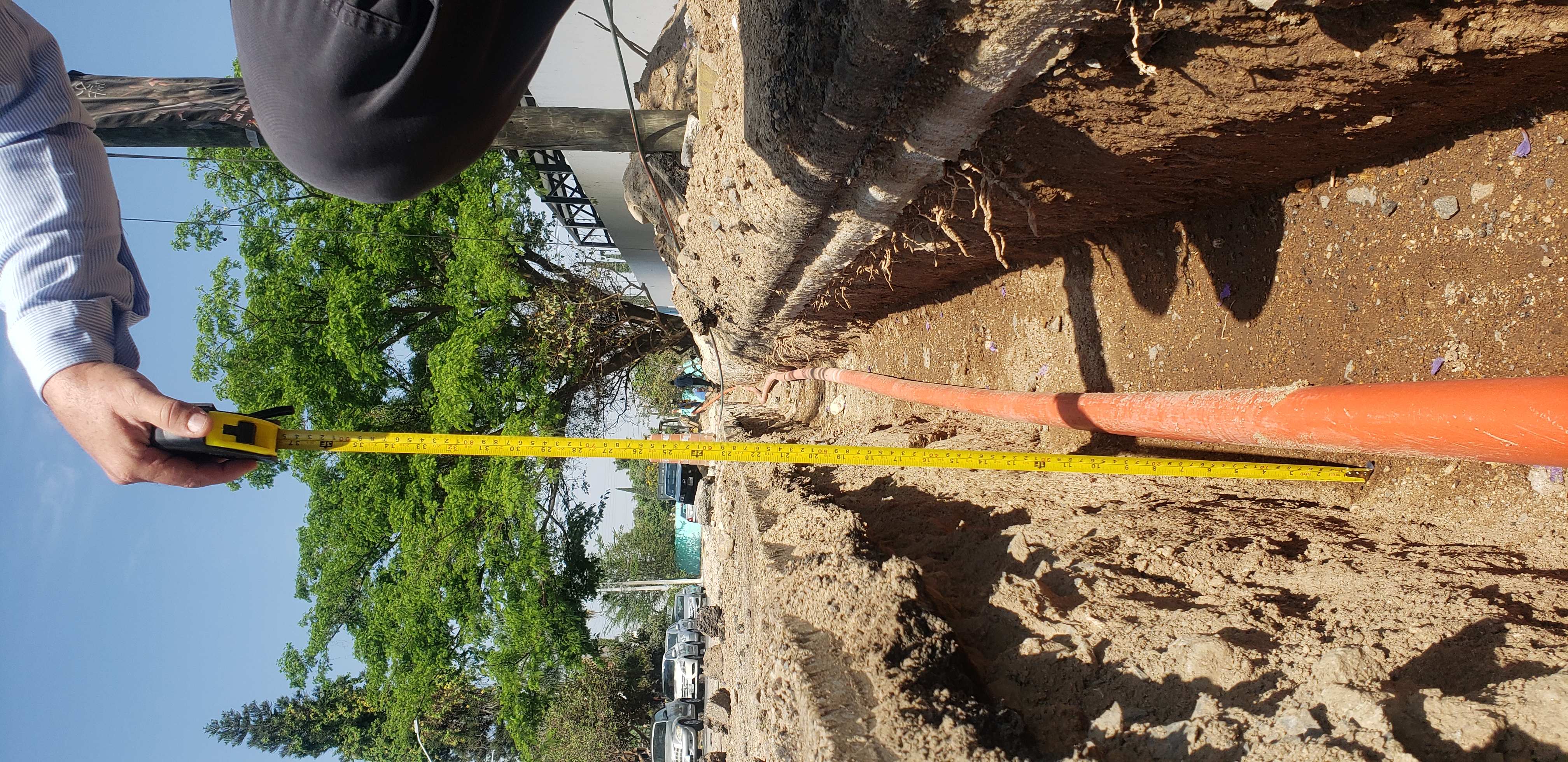 Imagen del proyecto