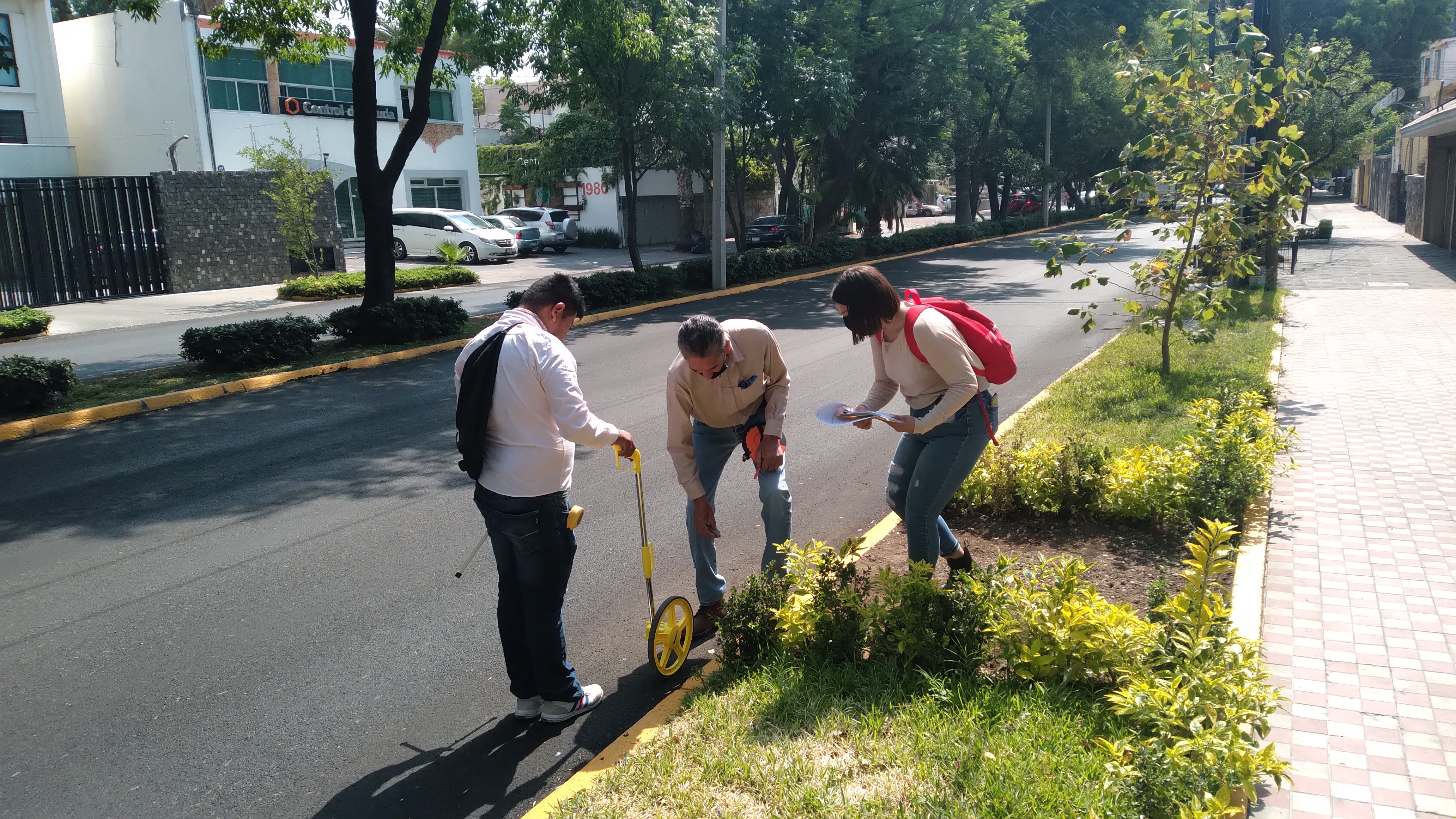 Imagen del proyecto