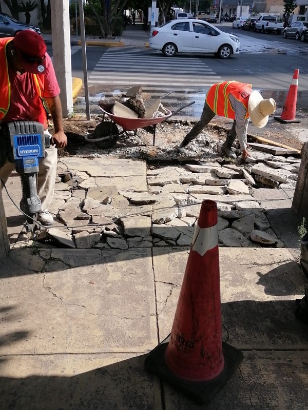 Imagen del proyecto