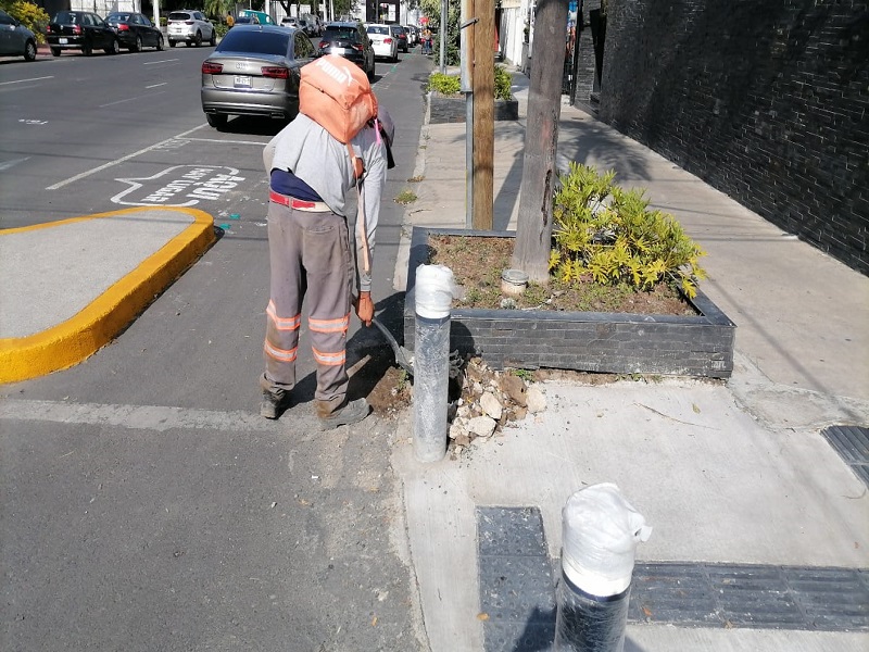 Imagen del proyecto