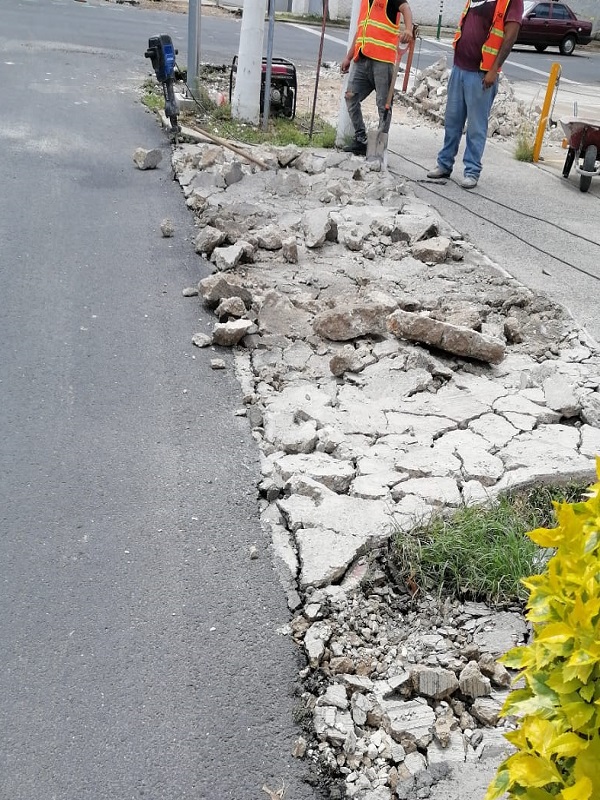 Imagen del proyecto
