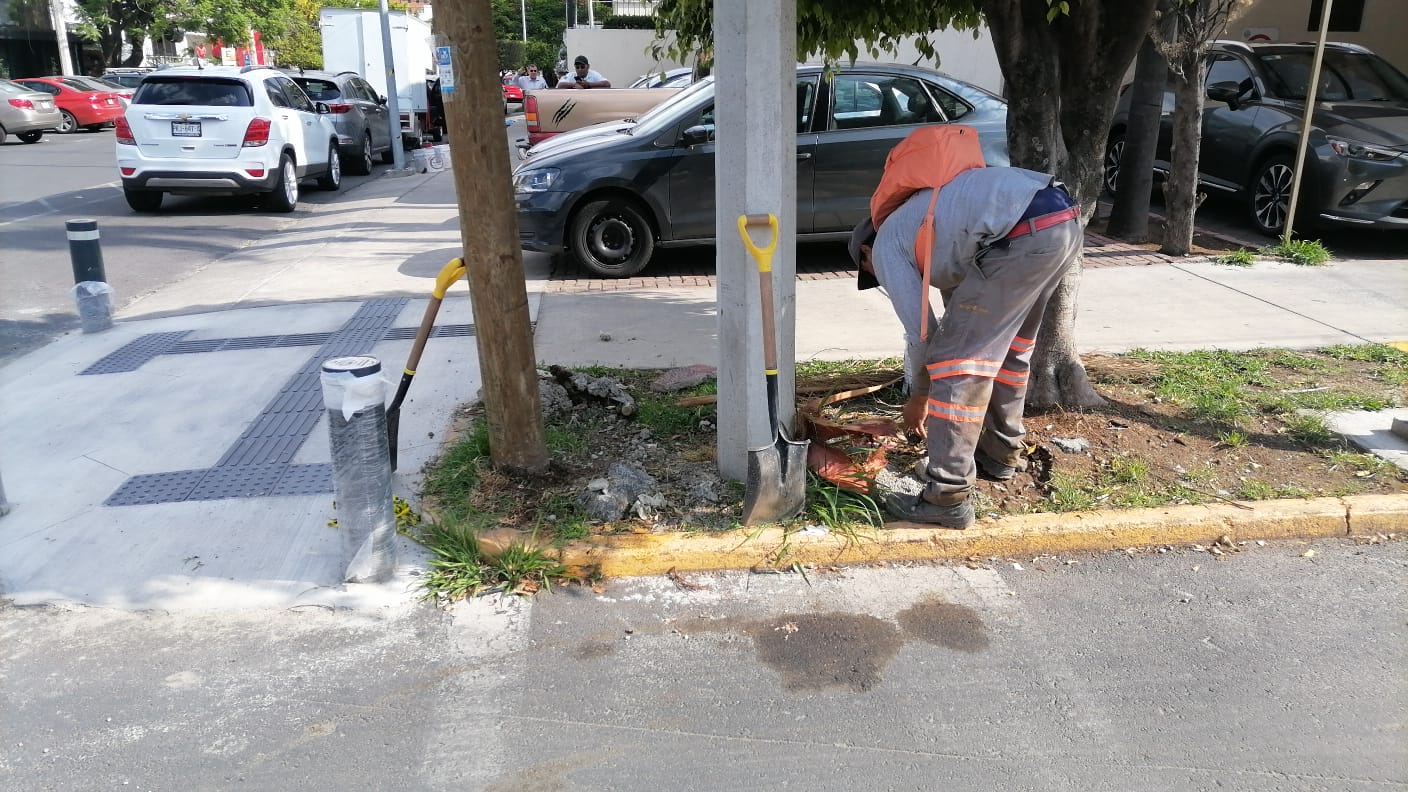 Imagen del proyecto