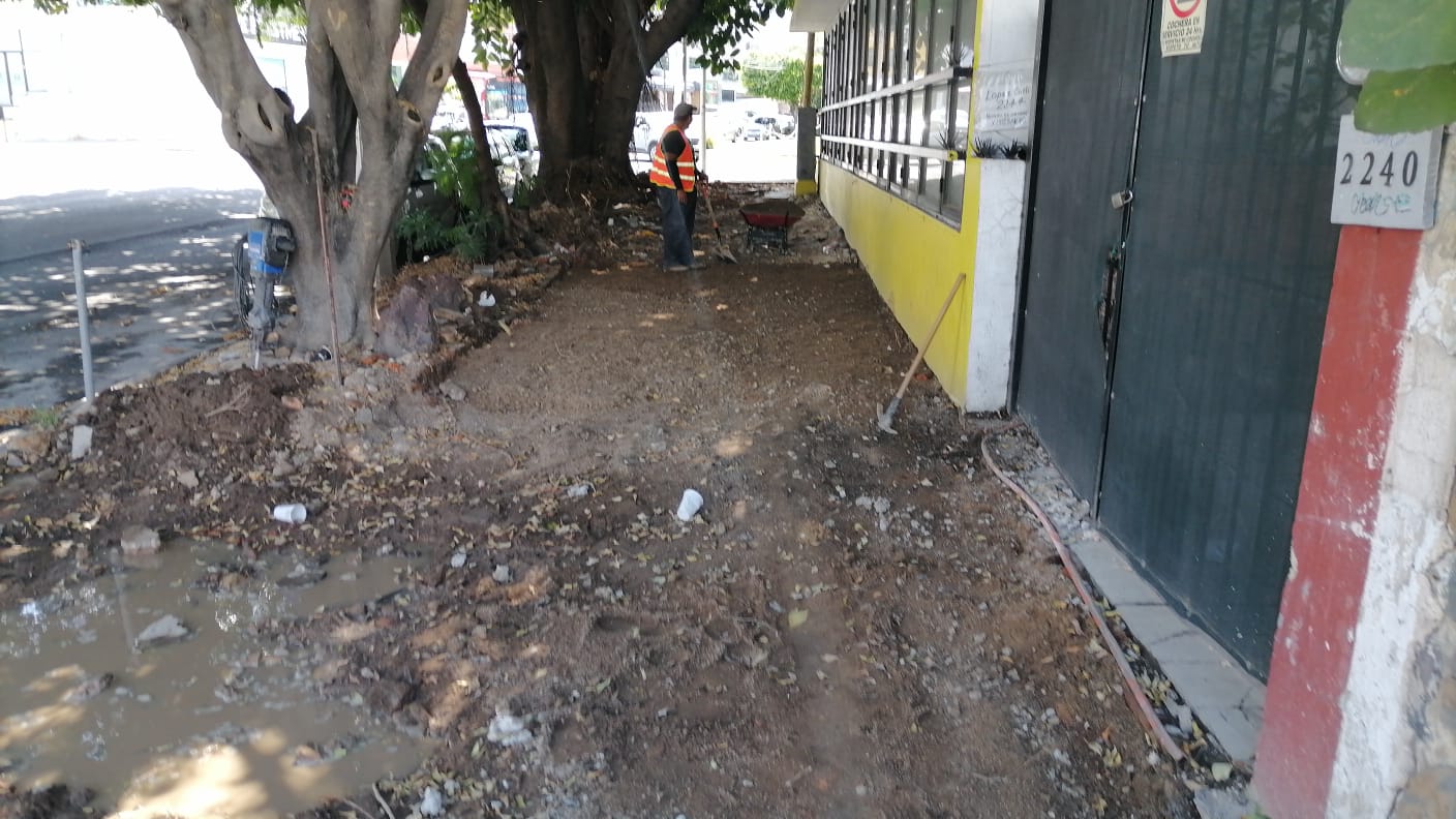 Imagen del proyecto