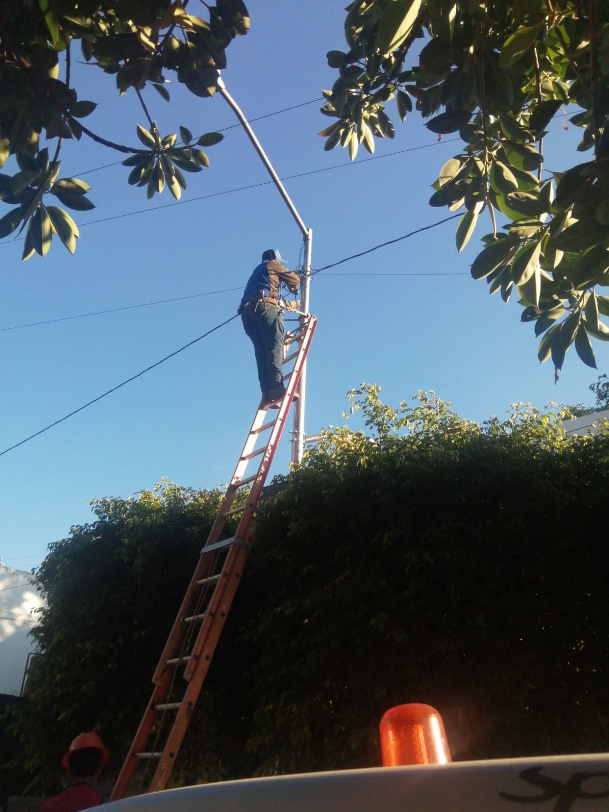 Imagen del proyecto
