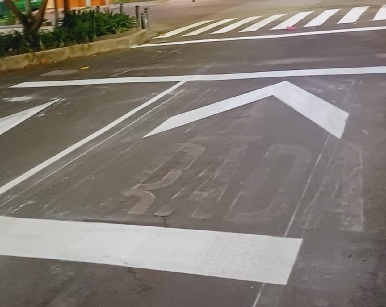 Imagen del proyecto
