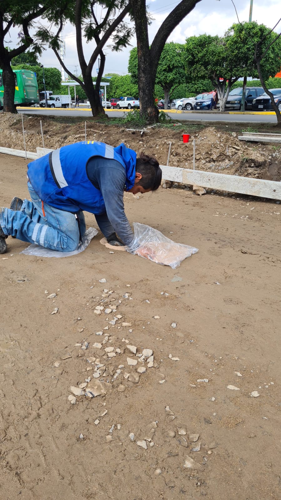 Imagen del proyecto
