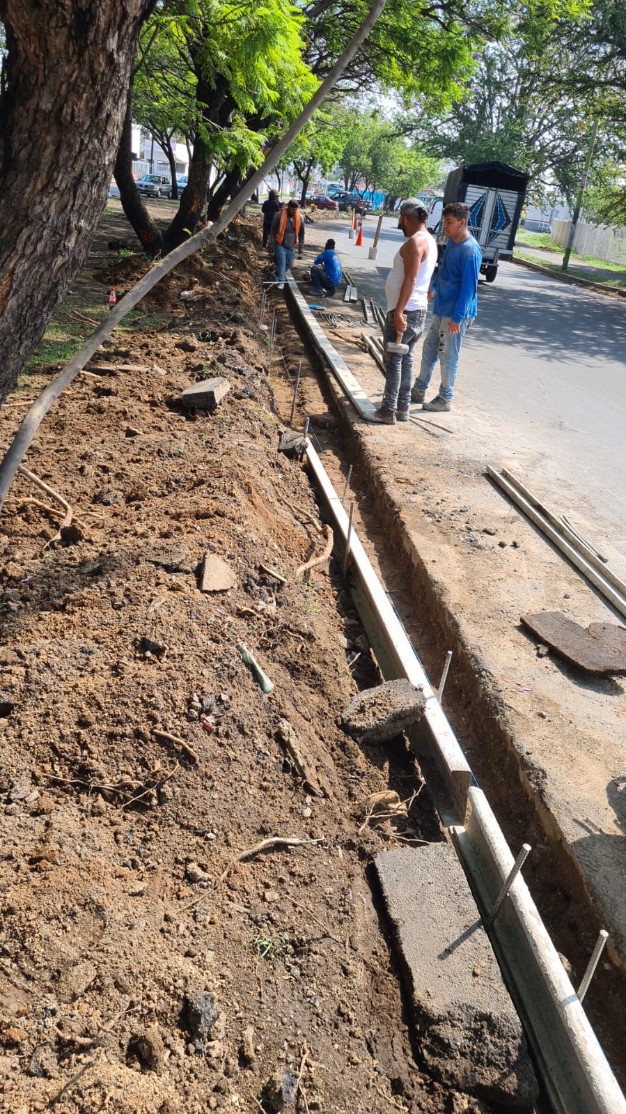Imagen del proyecto