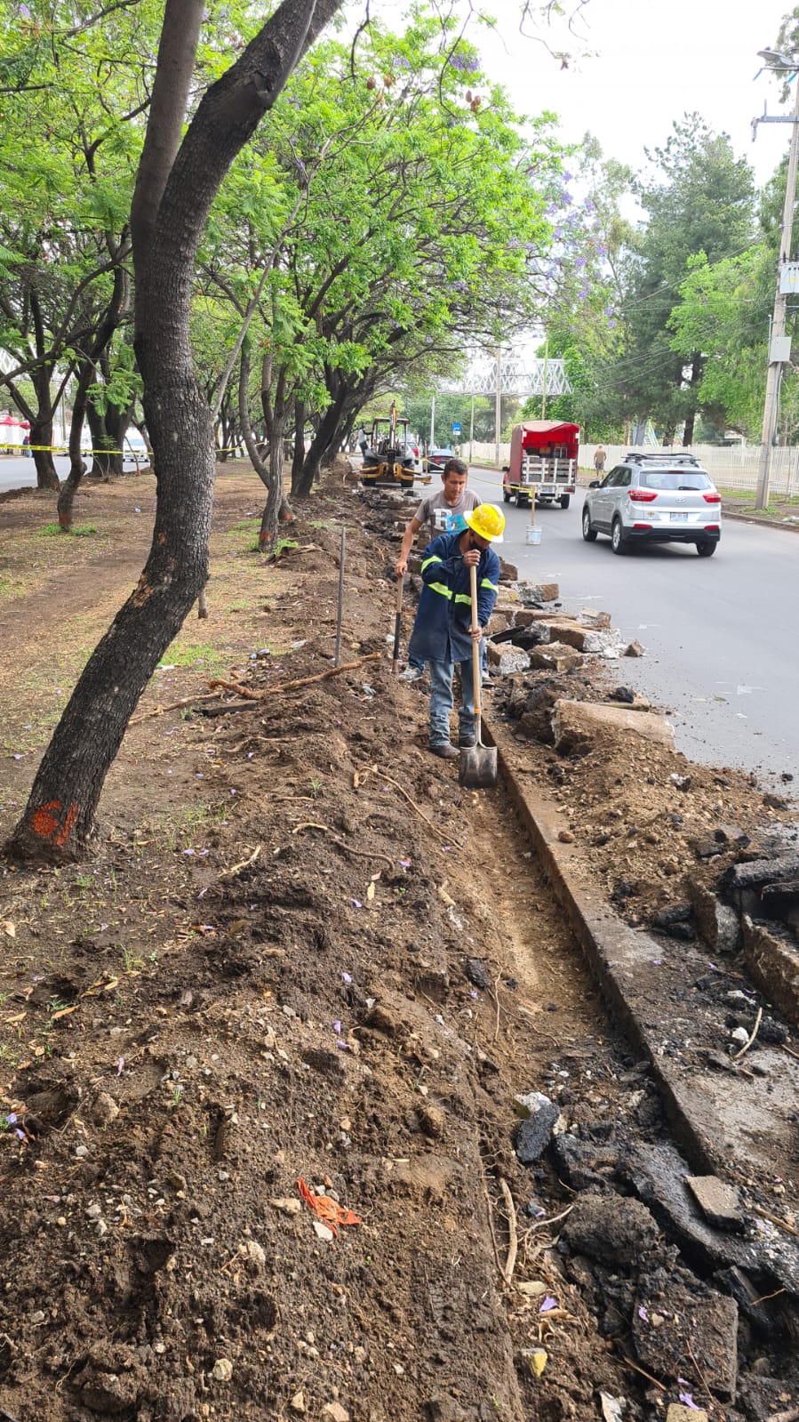 Imagen del proyecto