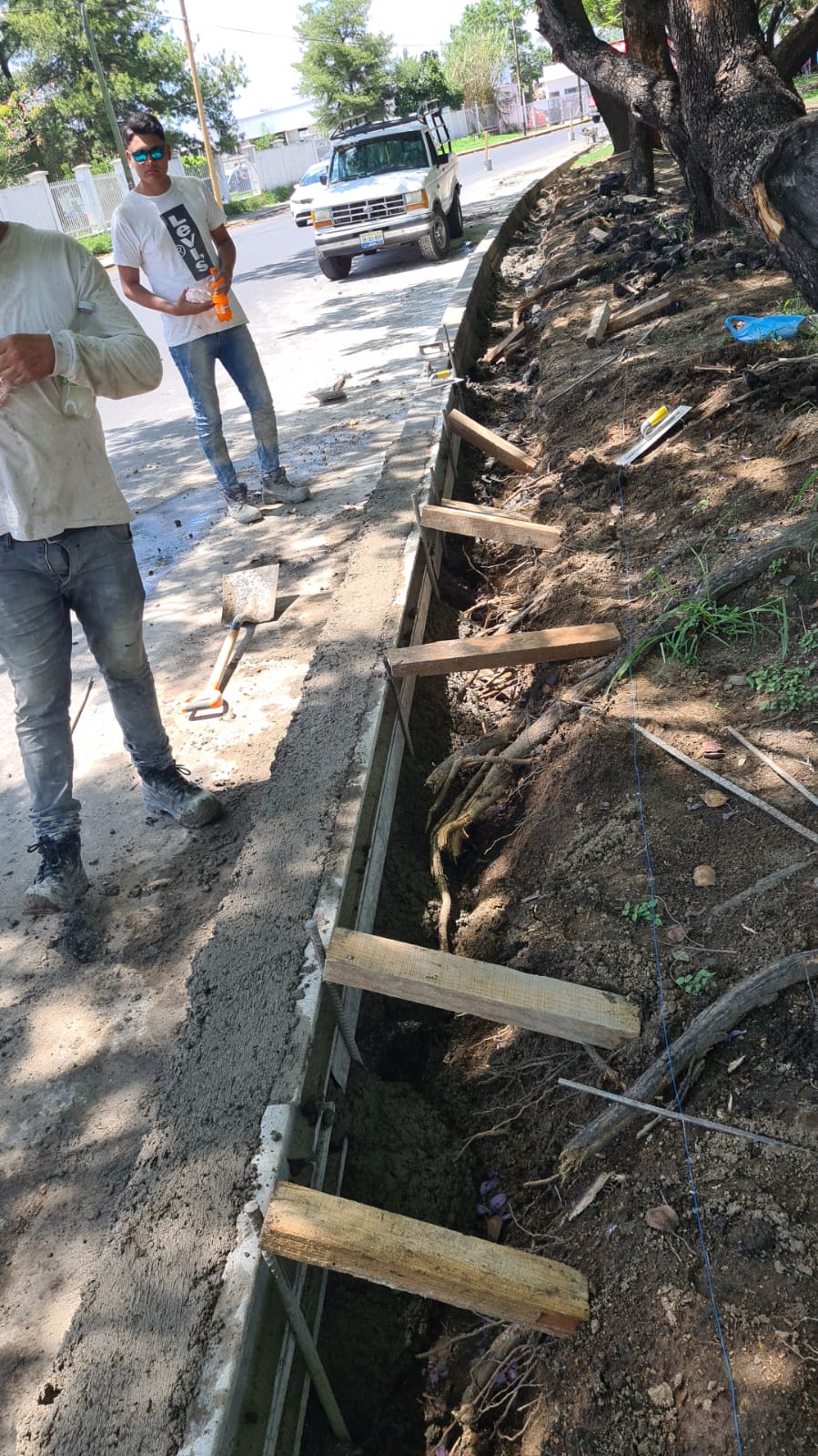 Imagen del proyecto