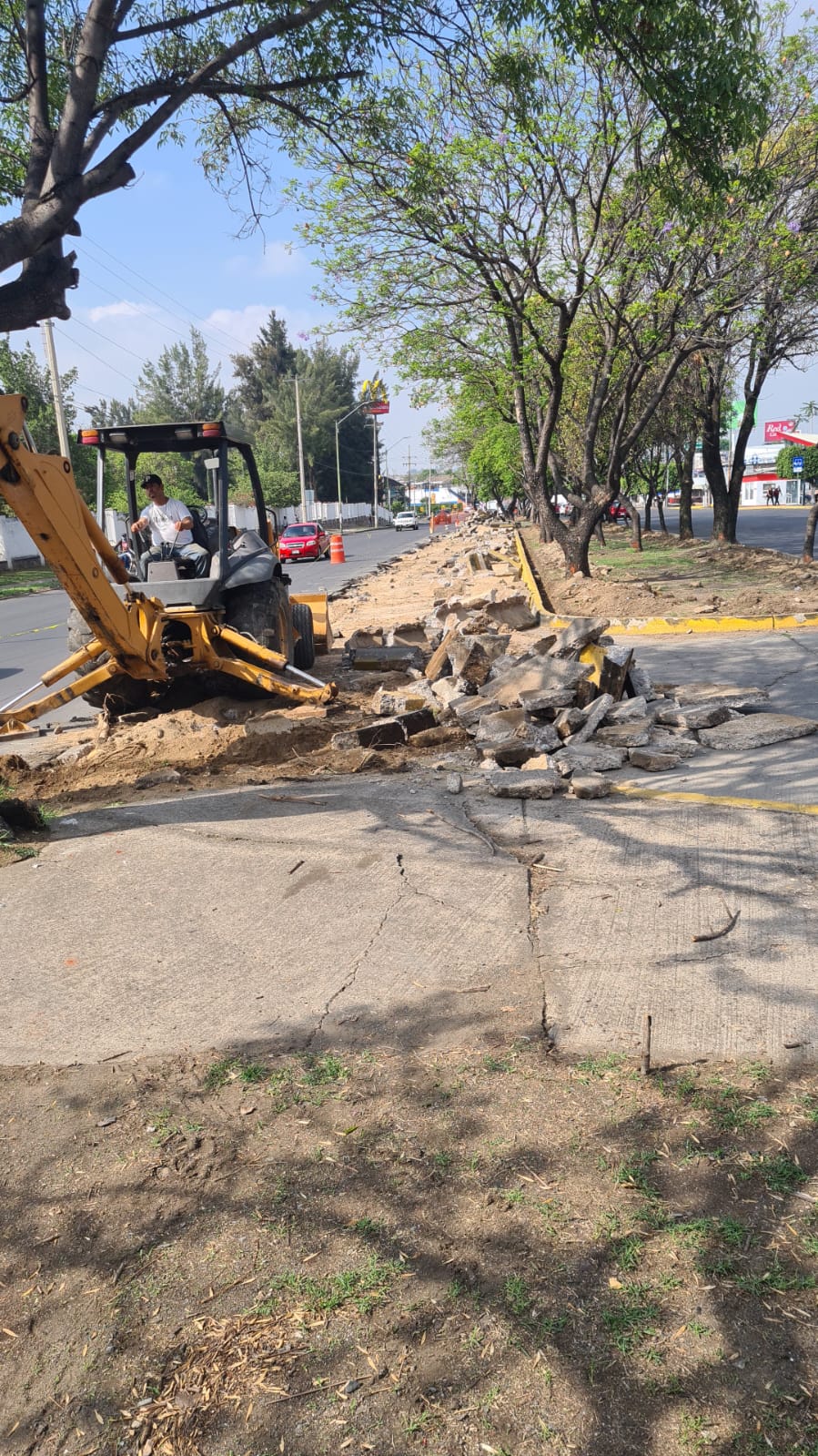 Imagen del proyecto