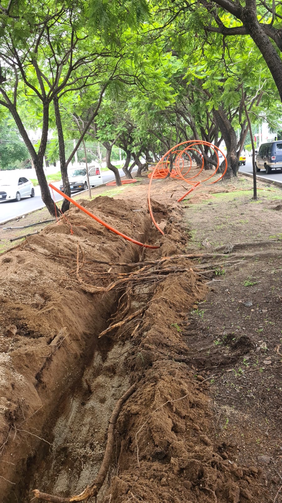 Imagen del proyecto