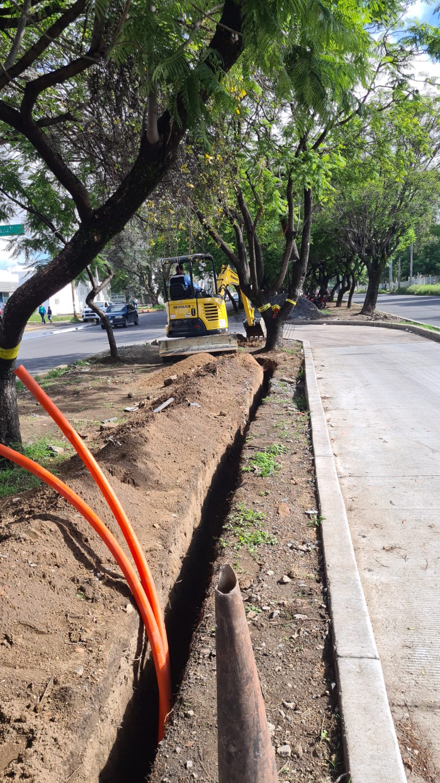 Imagen del proyecto