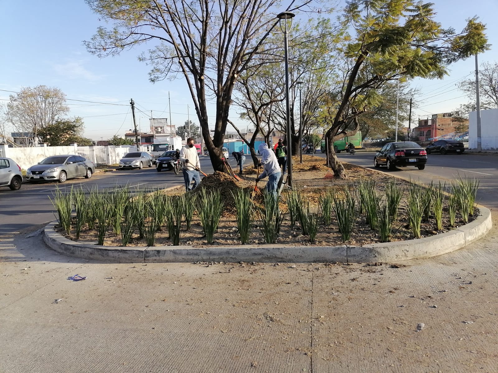 Imagen del proyecto