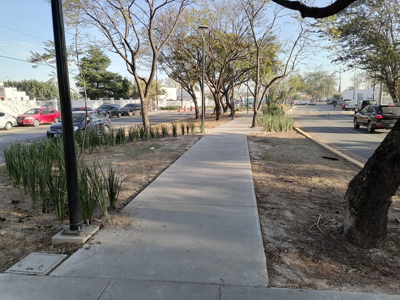 Imagen del proyecto