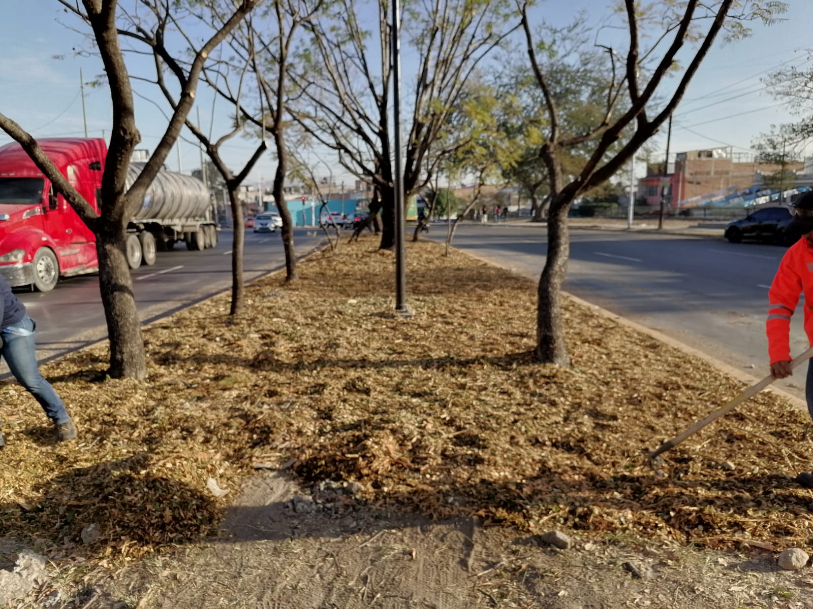 Imagen del proyecto