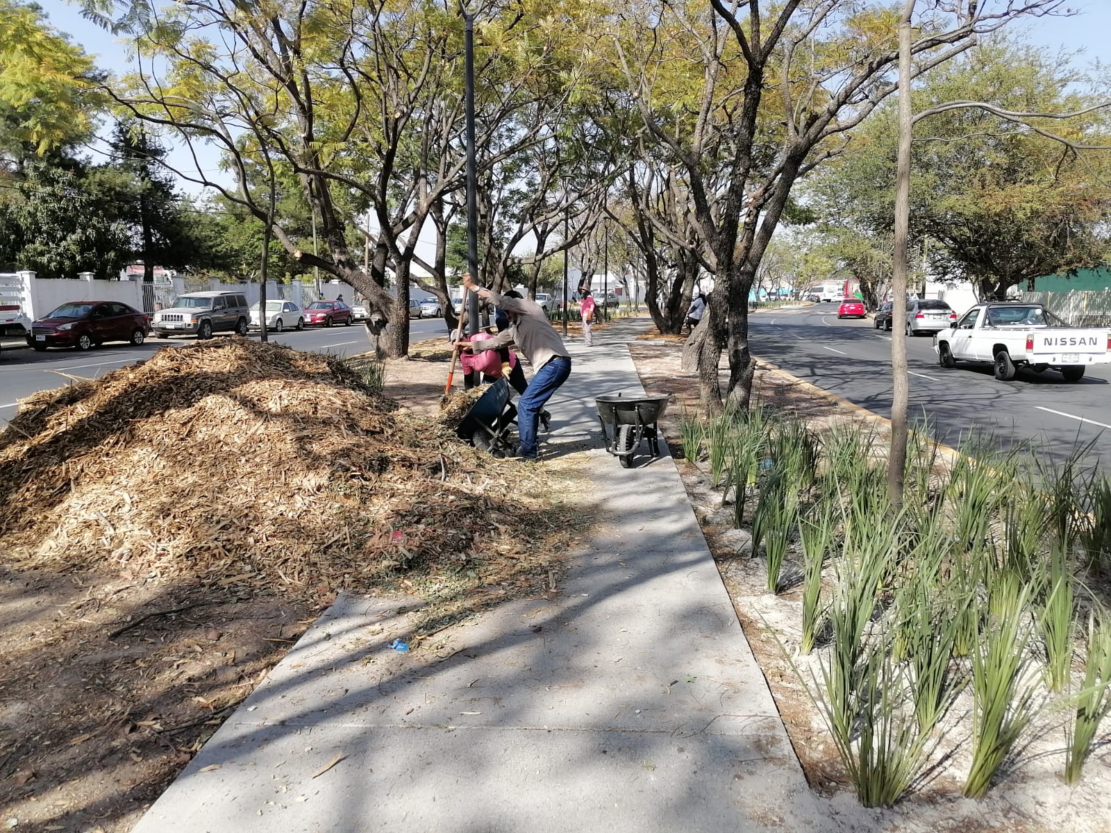 Imagen del proyecto