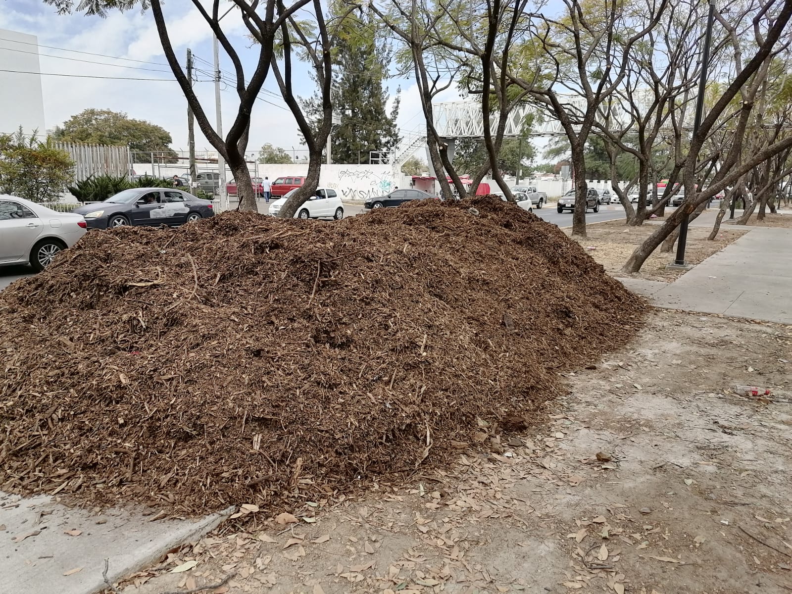 Imagen del proyecto