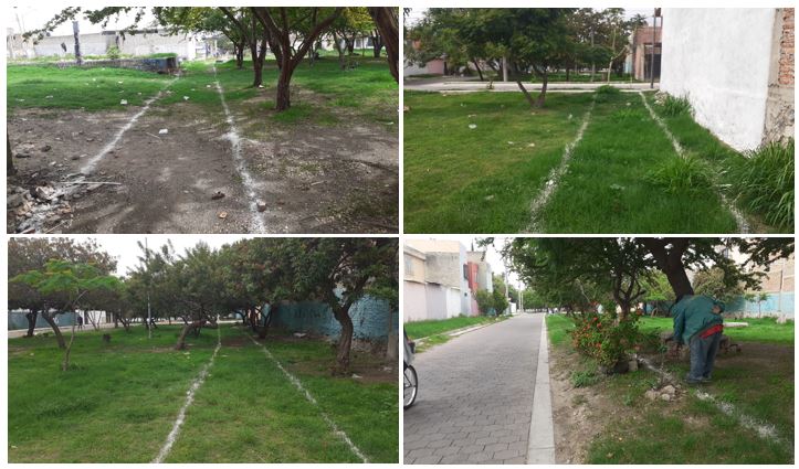 Imagen del proyecto
